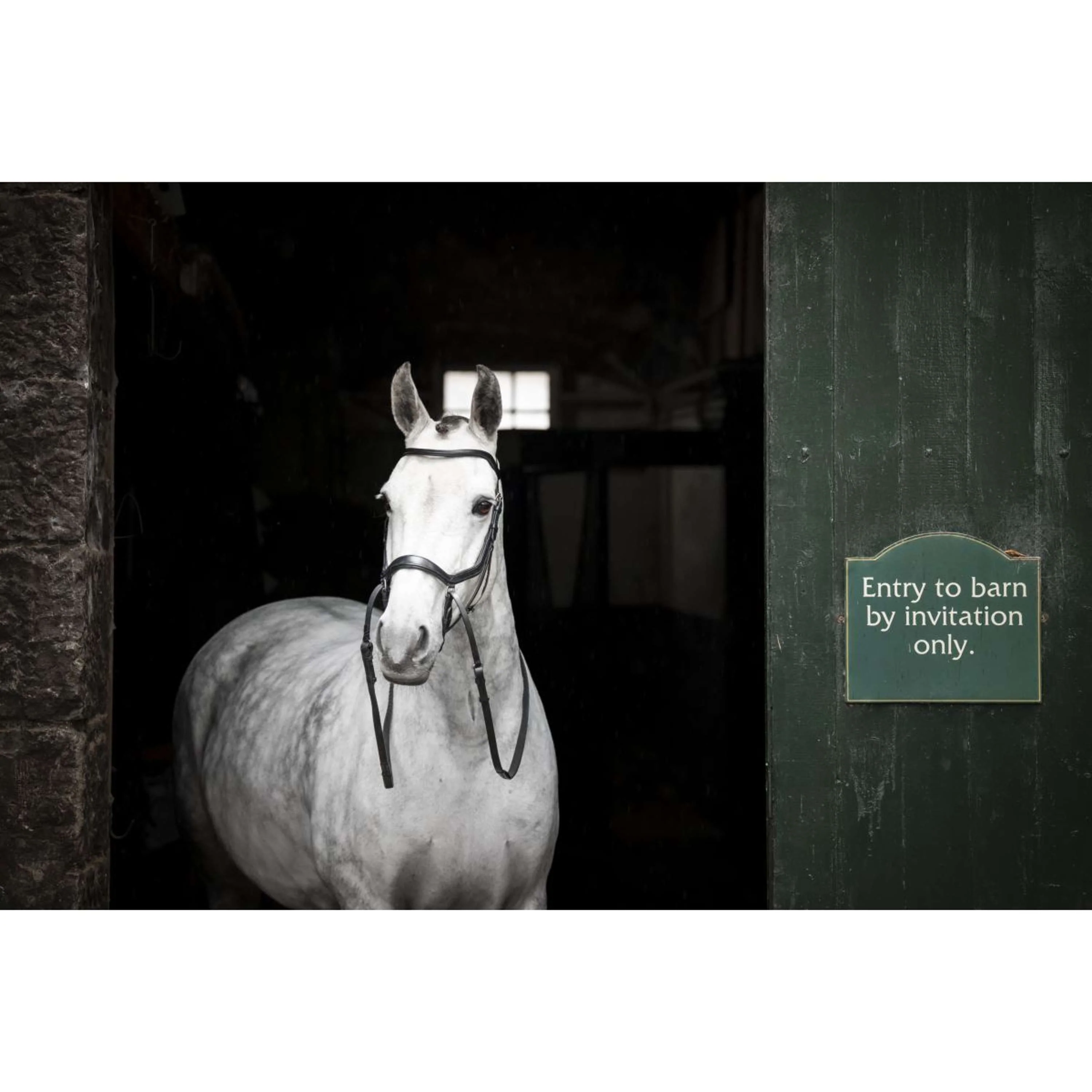Horseware Micklem Bitless Bridle Schwarz - Image 2