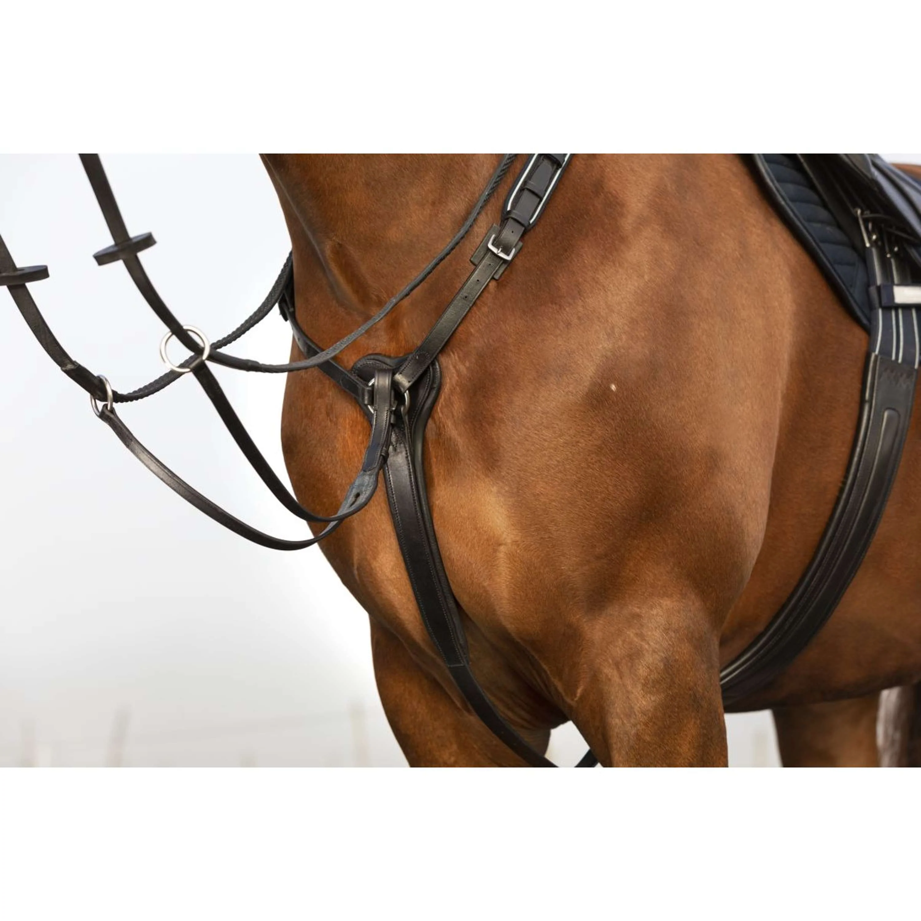 Horseware Micklem Brustgeschirr mit Martingal Schwarz - Image 2