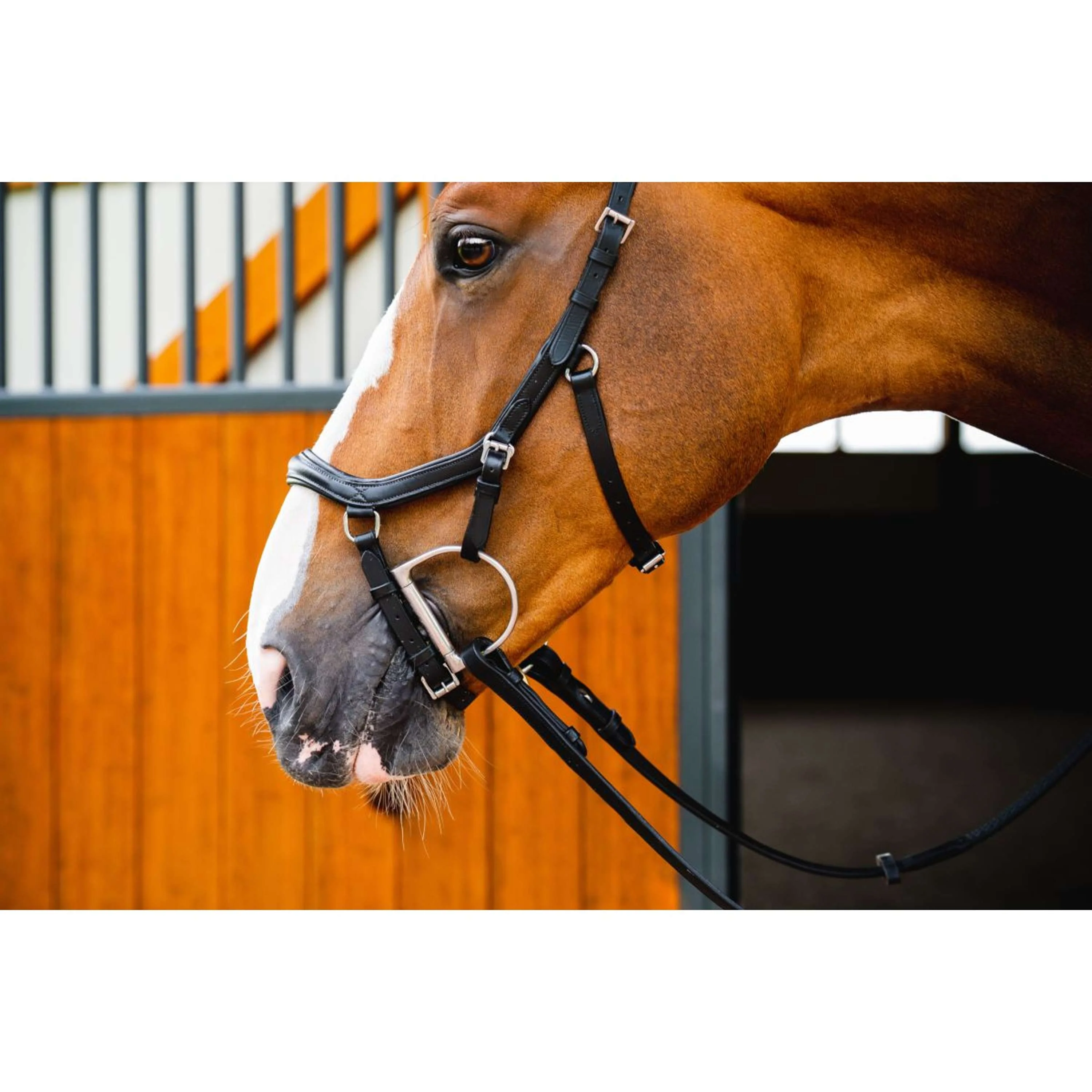 Horseware Micklem Diamond Competition Bridle New Schwarz - Image 2
