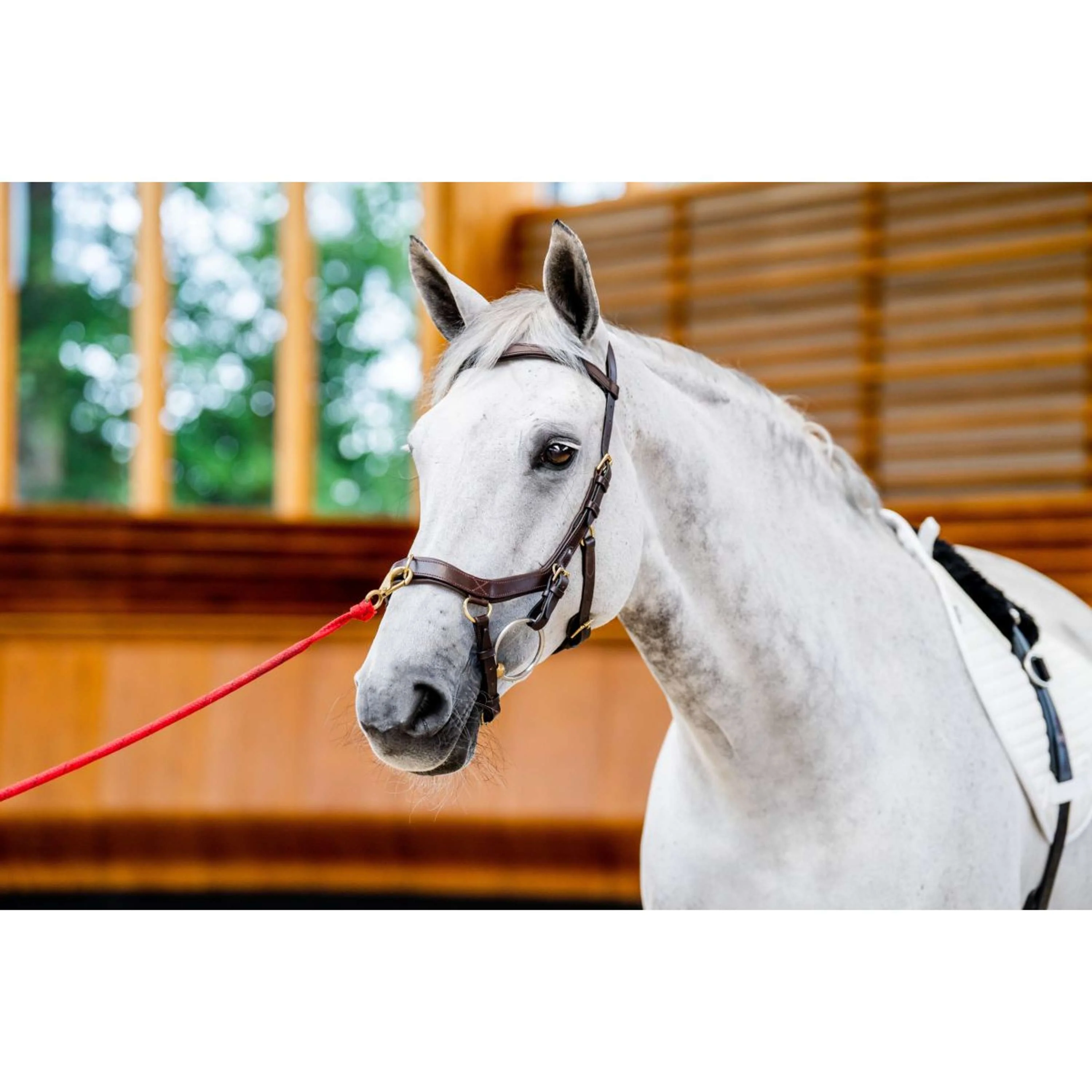 Horseware Micklem Multi Bridle New Dark Havana - Image 2