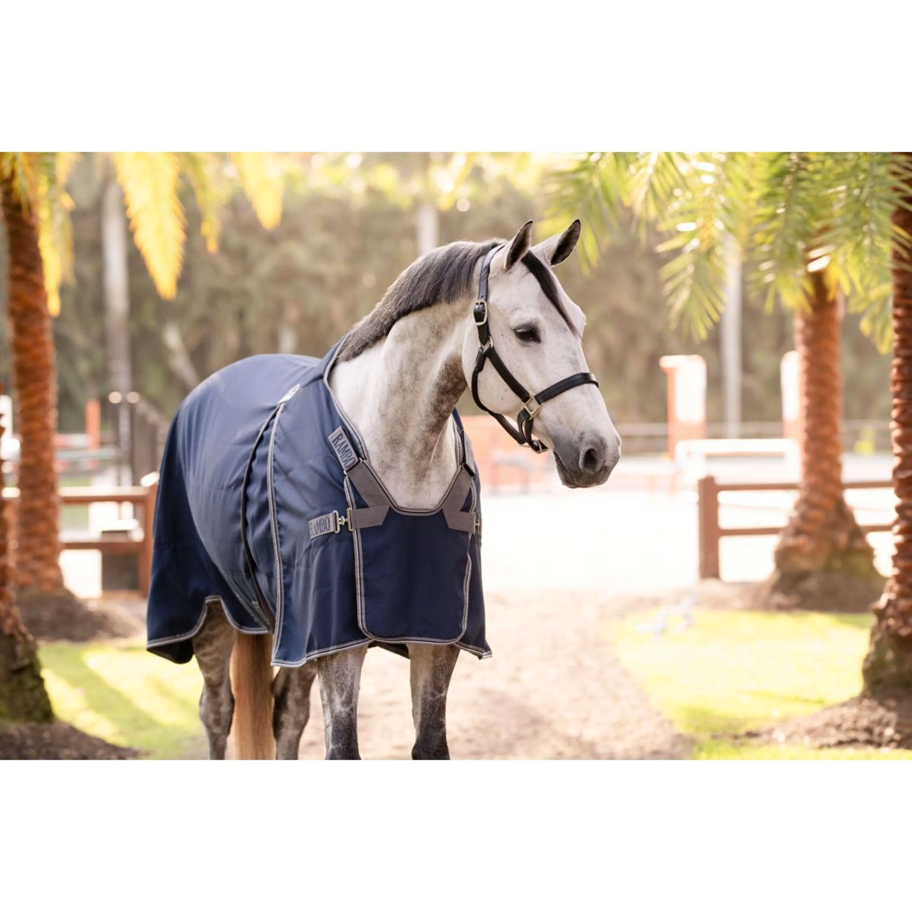 Rambo Optimo Stalldecke New Navy/Thunderstorm Grey/Silver - Image 3