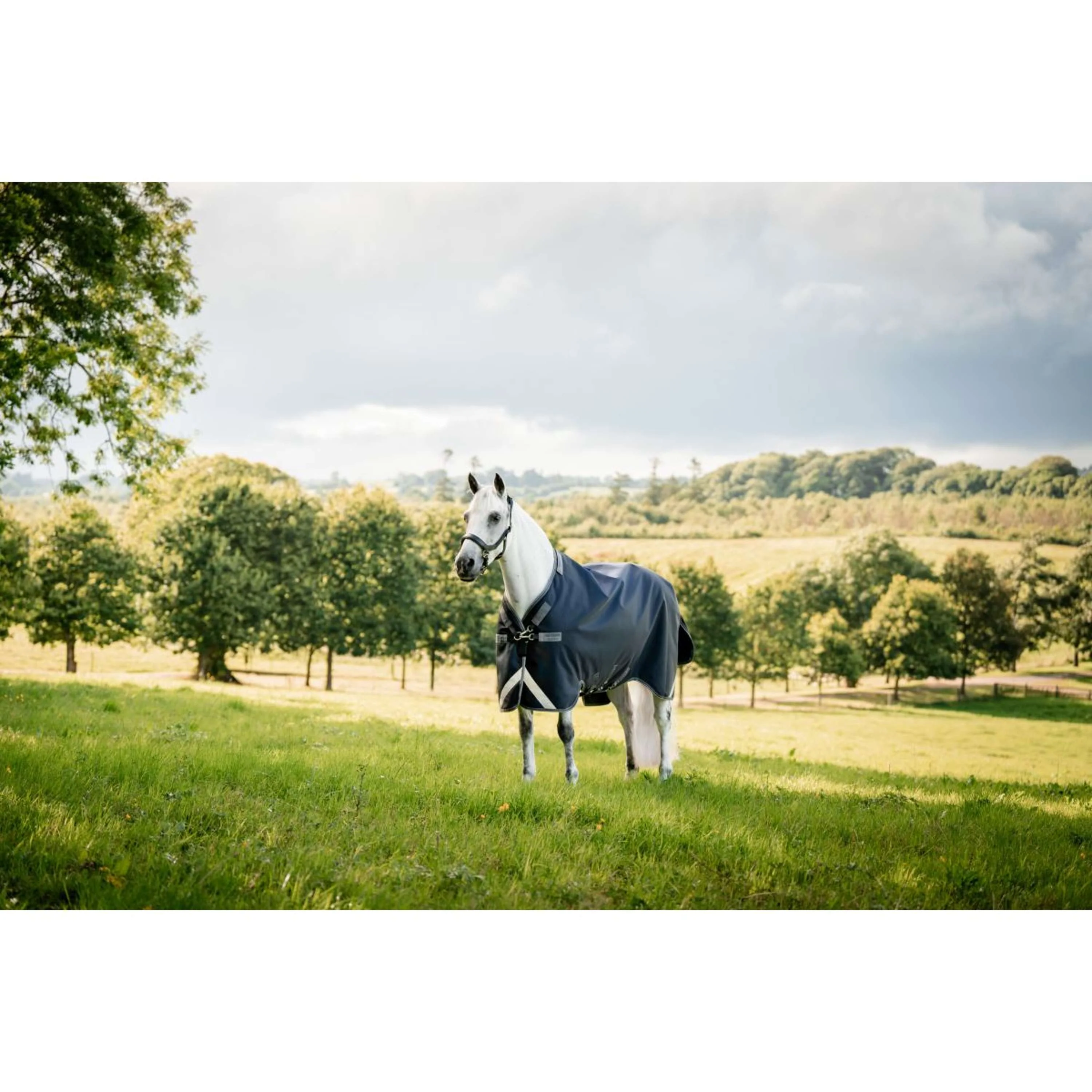 Rambo Turnout Rug 1680D Varilayer 450g Navy/Thunderstorm Grey/Silver - Image 6