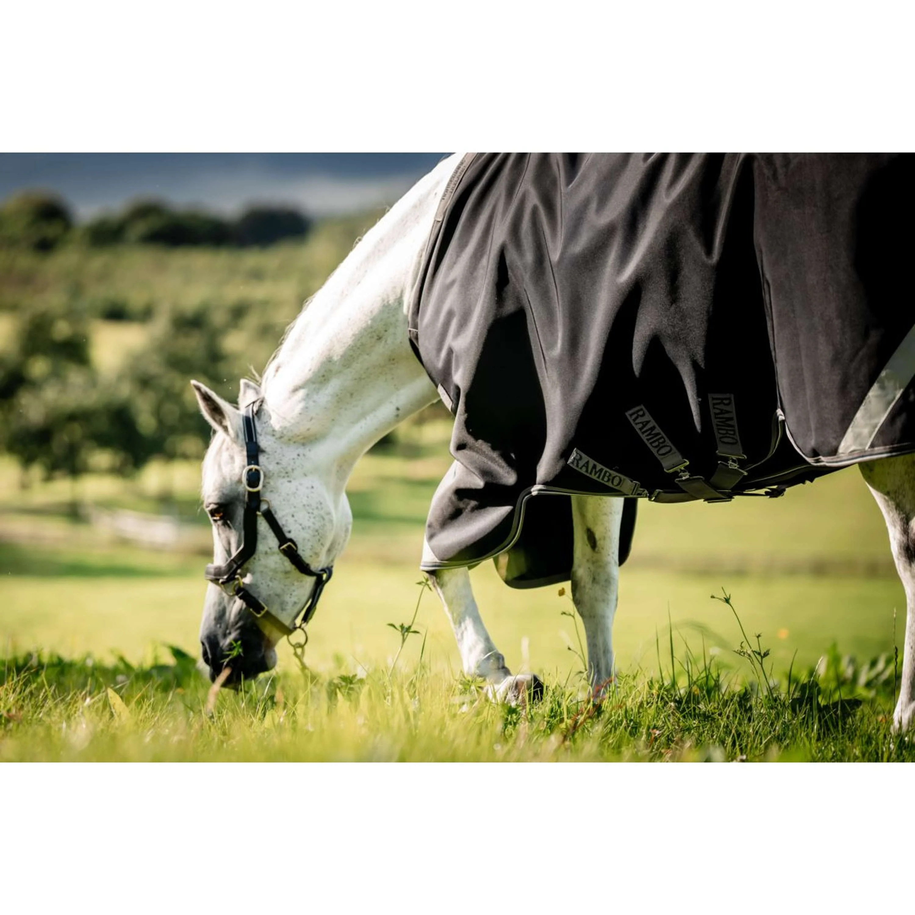Rambo Turnout Rug 1680D Varilayer 450g Black/Thunderstorm Grey/Silver - Image 4