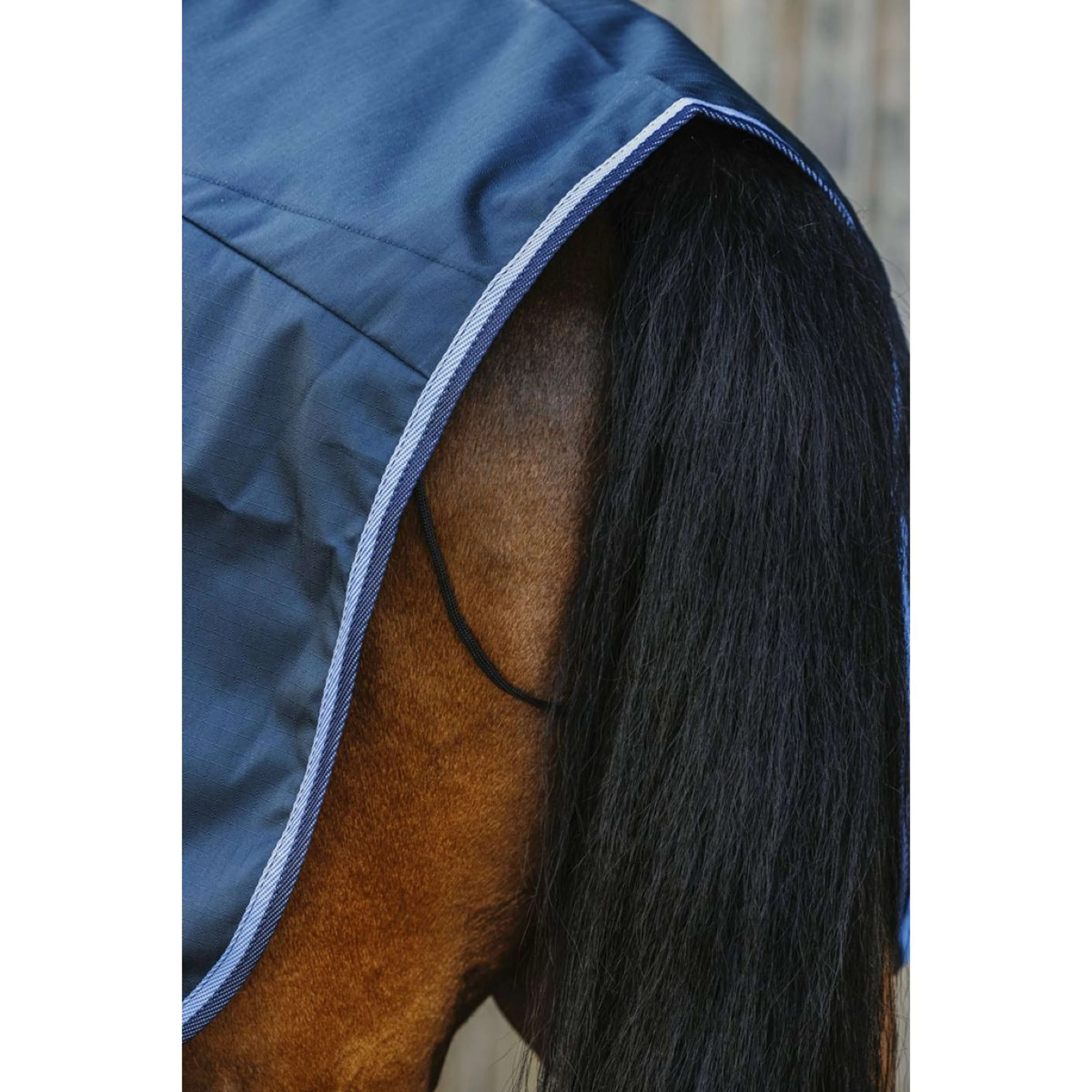 Riding World Ausreitdecke ECO 600D Navy - Image 2