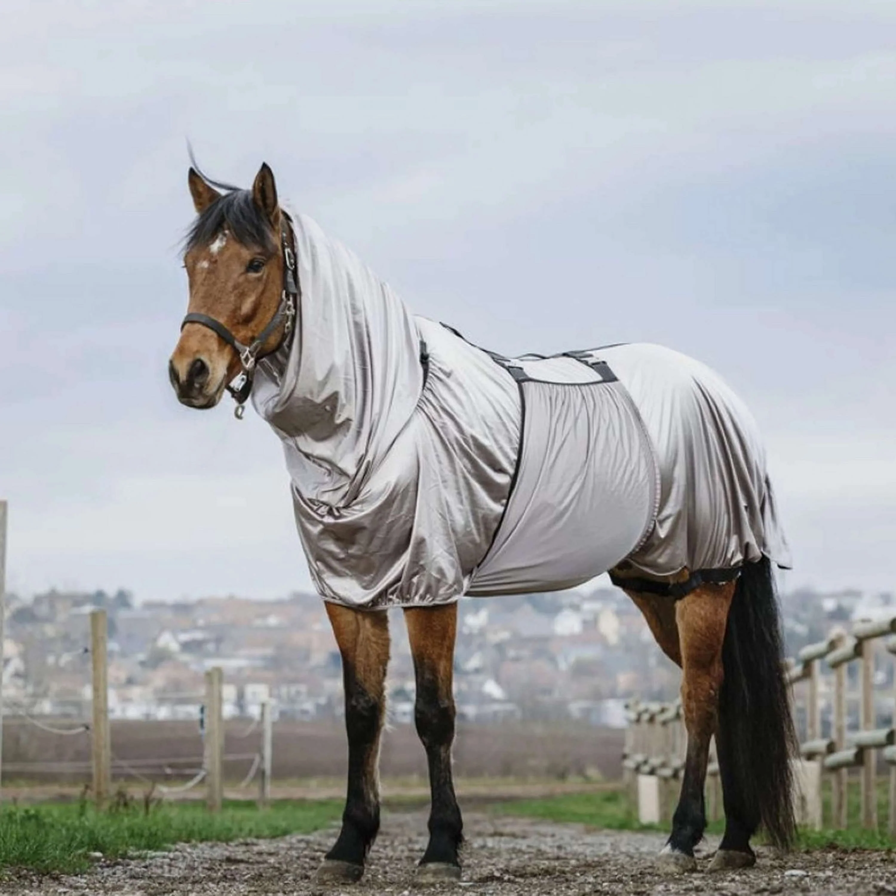 Riding World Ekzemerdecke Grau - Image 3