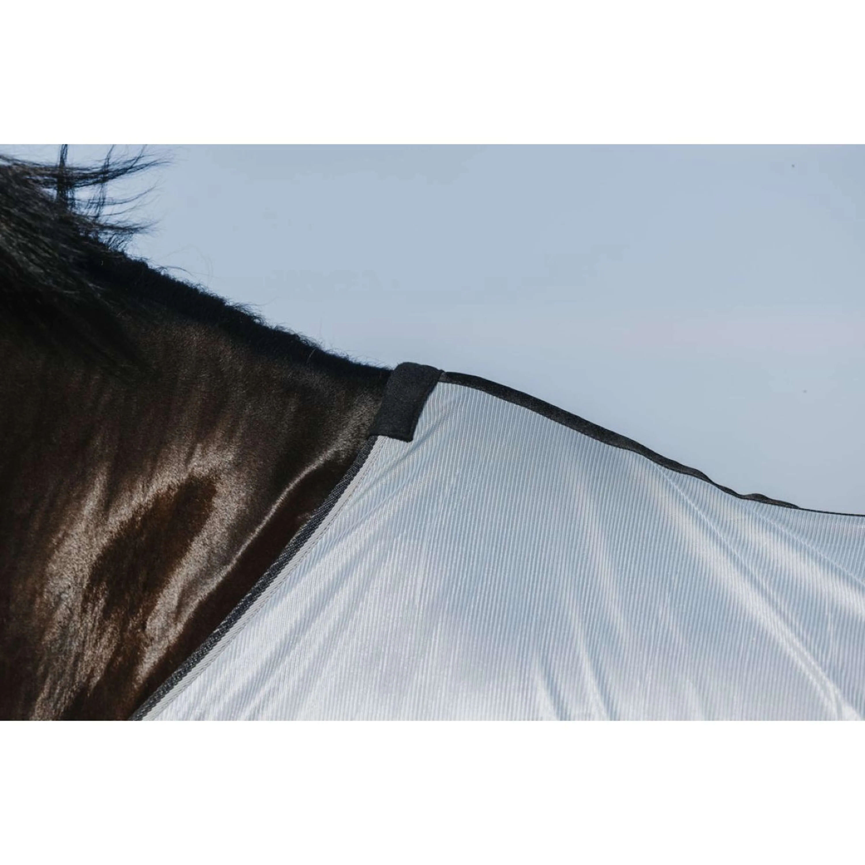 Riding World Fliegendecke Belly Mesh Grau - Image 5