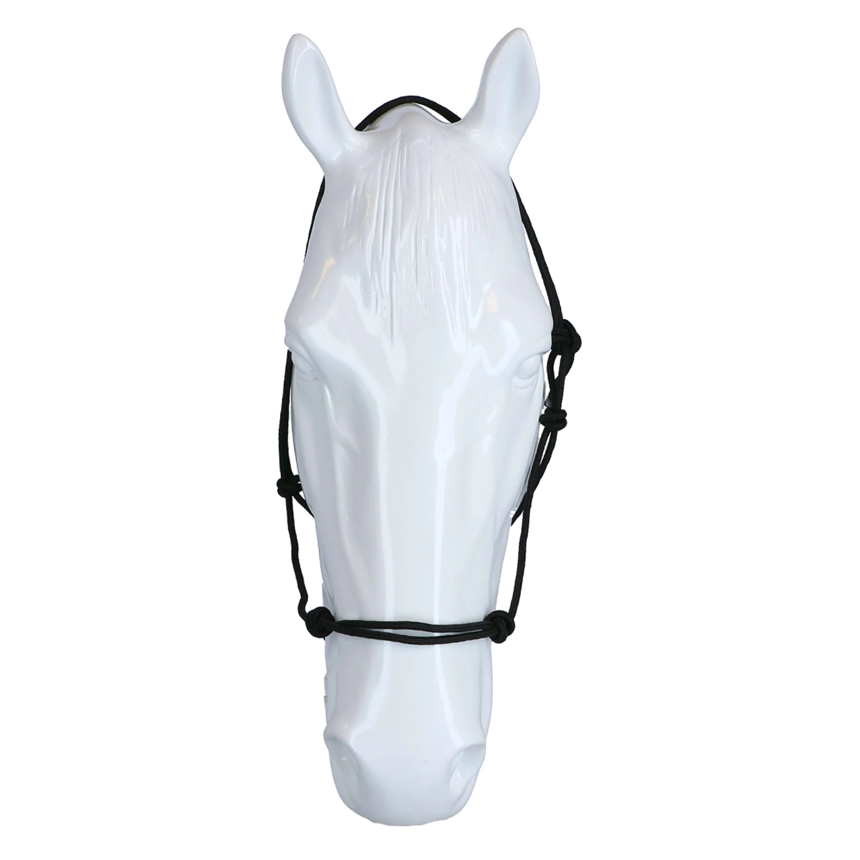 Riding World Halfter Fine Ethologisch Schwarz - Image 2