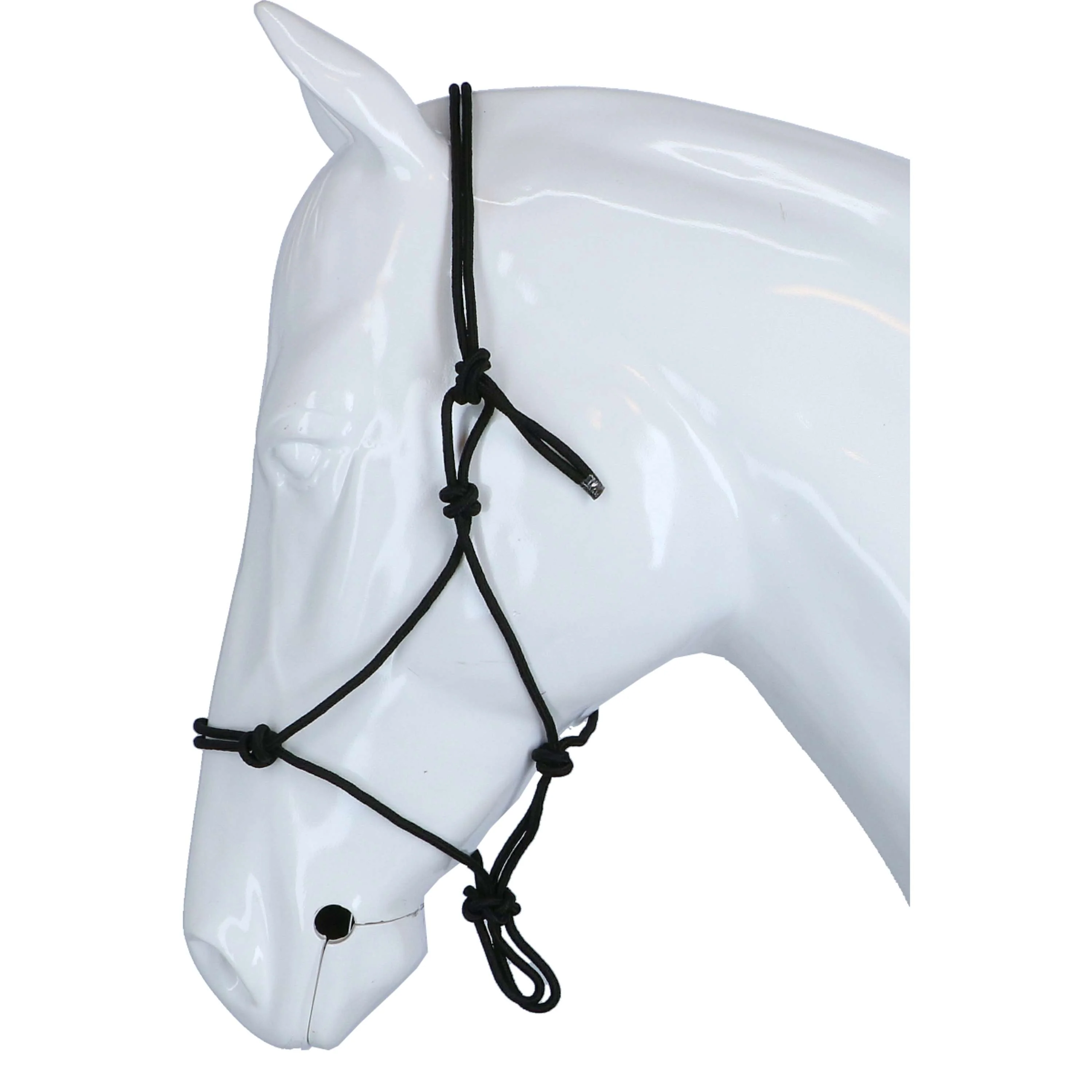 Riding World Halfter Fine Ethologisch Schwarz - Image 3
