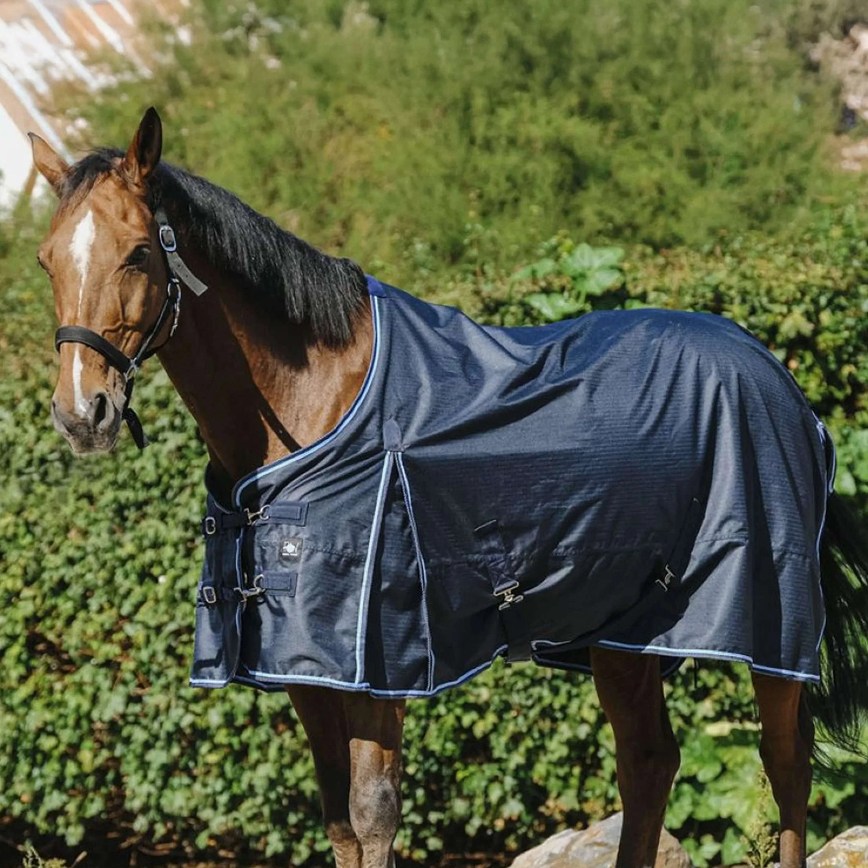 Riding World Outdoordecke ECO EasyClip 600D 0g Navy - Image 2