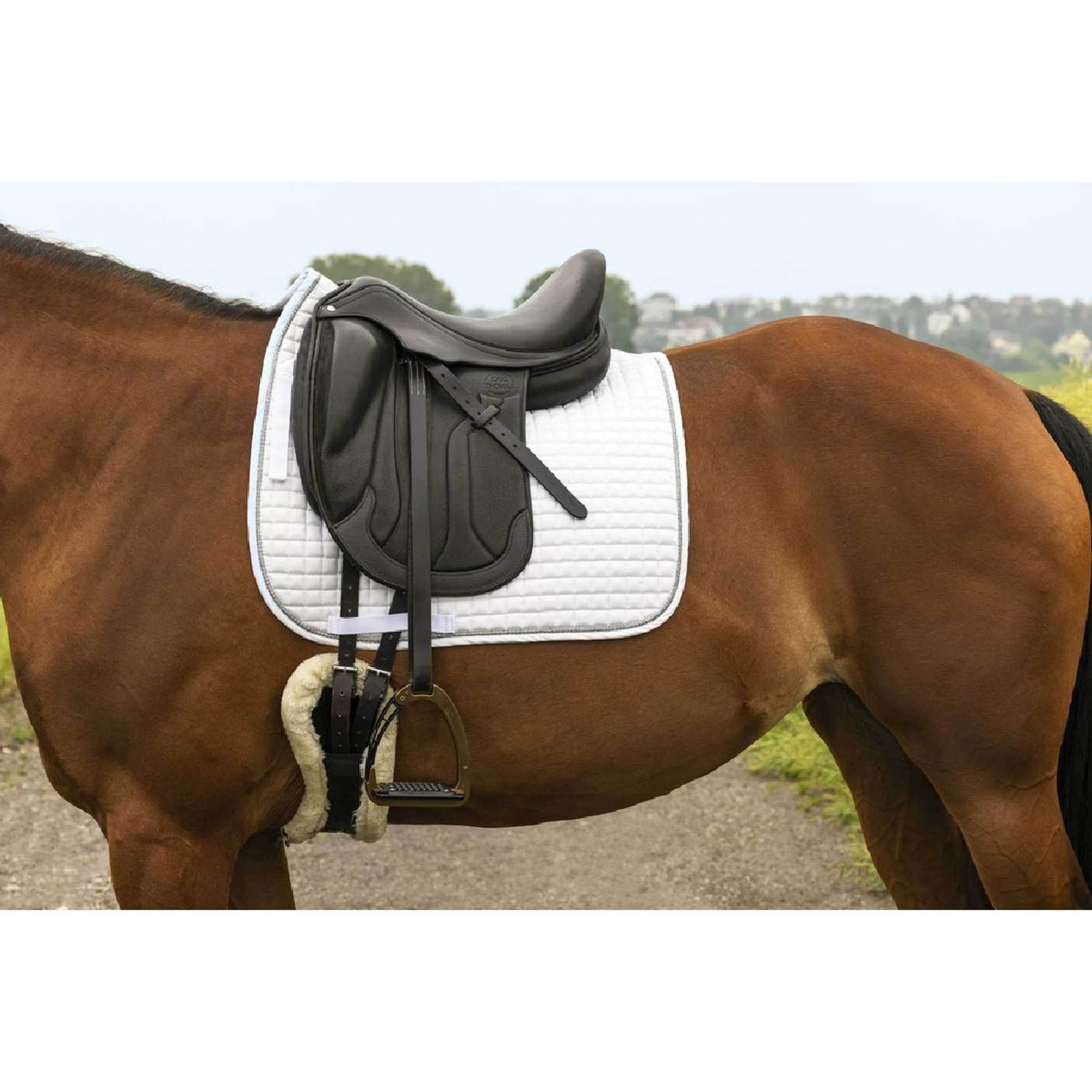 Riding World Schabracke Girly Dressur Weiß - Image 7