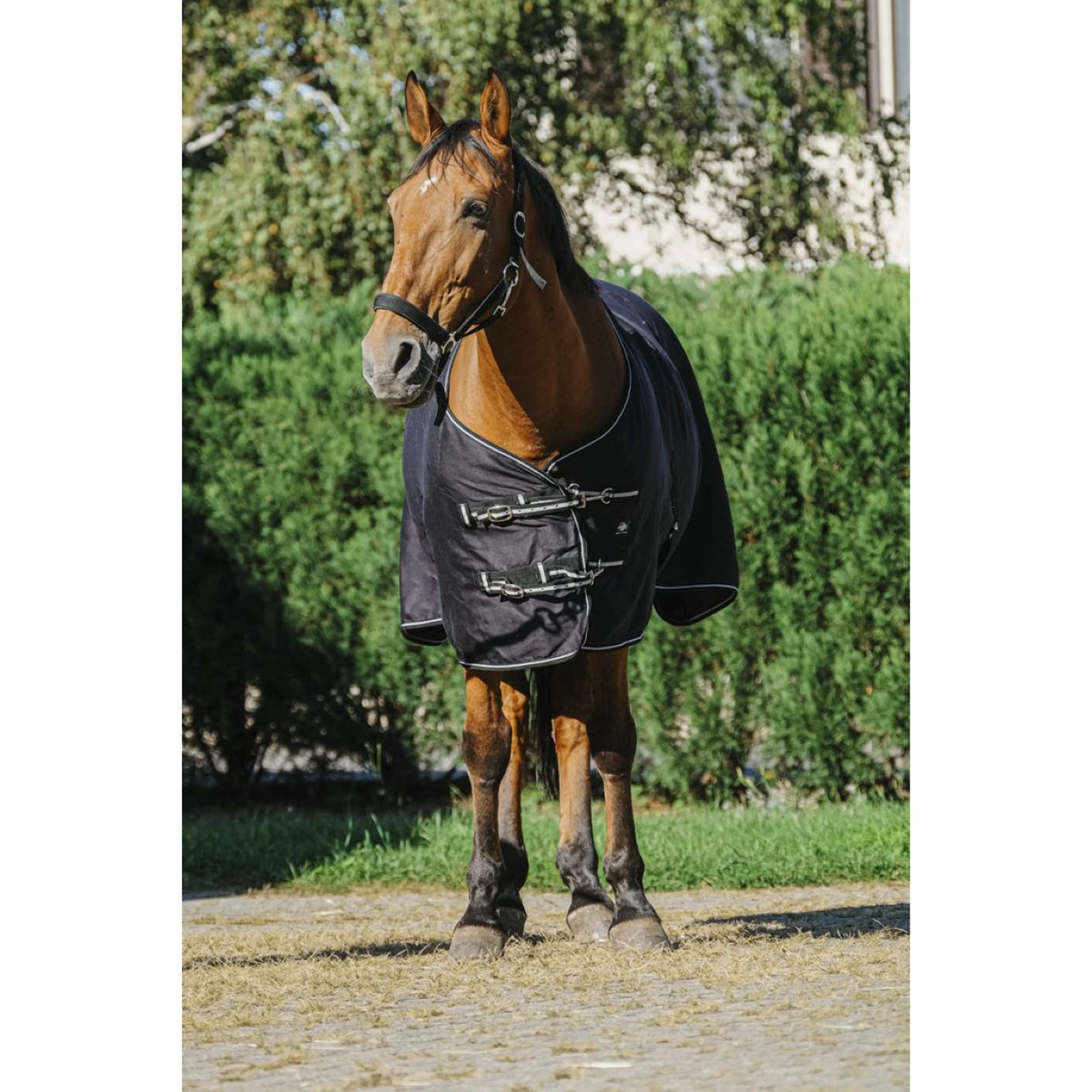Riding World Sommerdecke Brillante Schwarz - Image 2