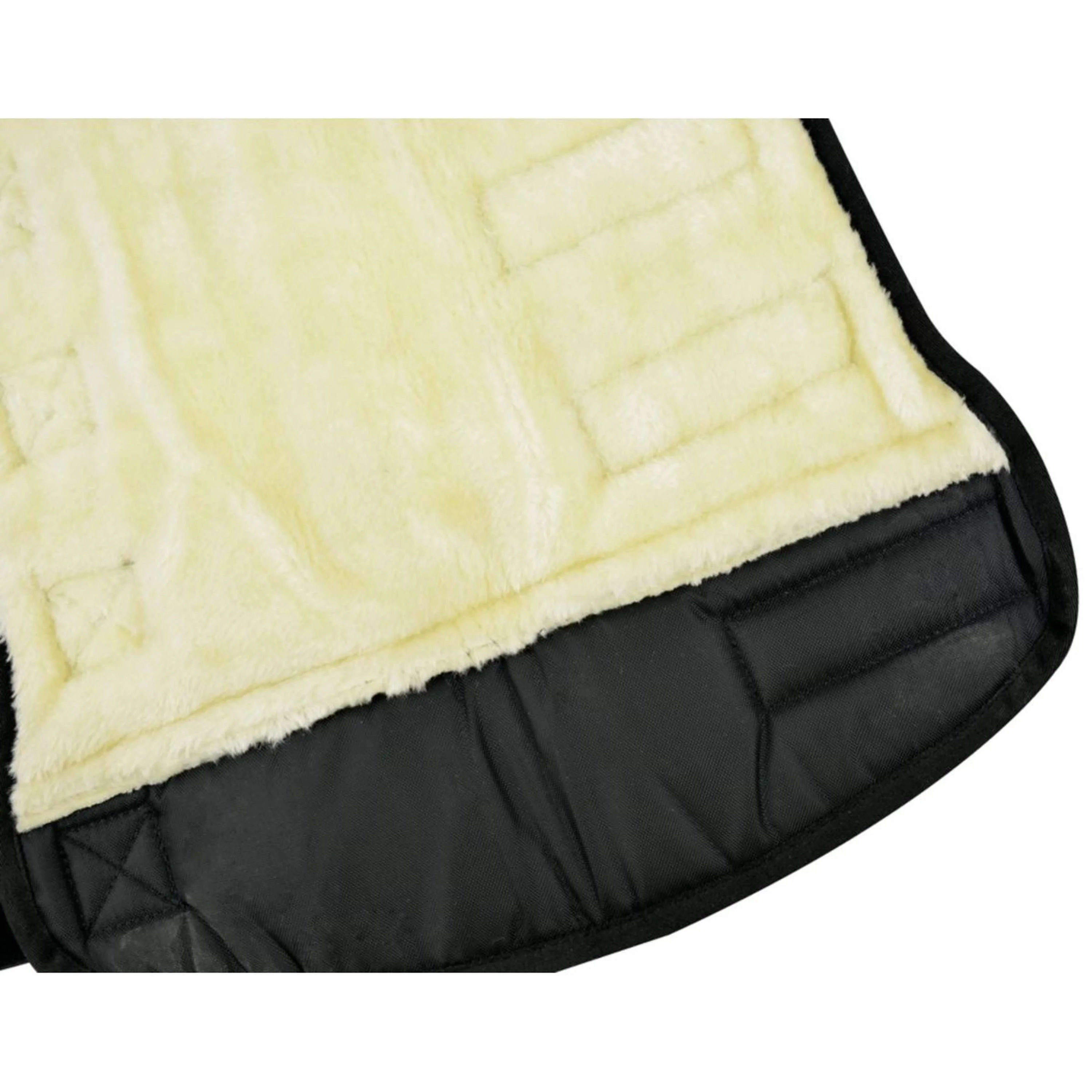 Riding World Transportgamaschen Tief Schwarz - Image 4