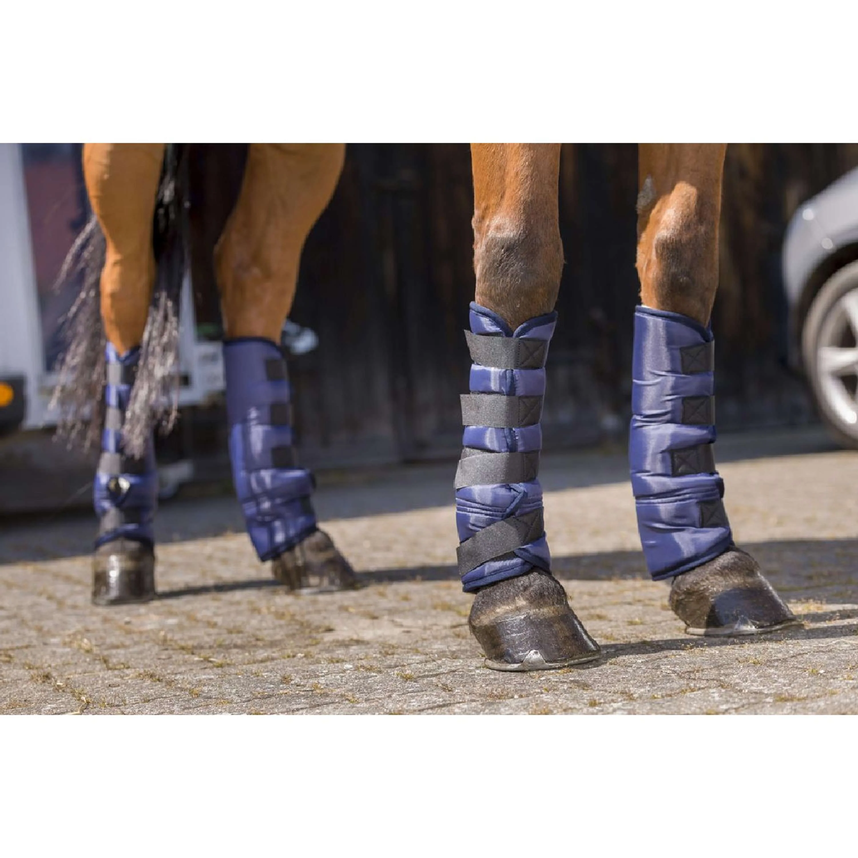 Riding World Transportgamaschen Tief Schwarz - Image 9