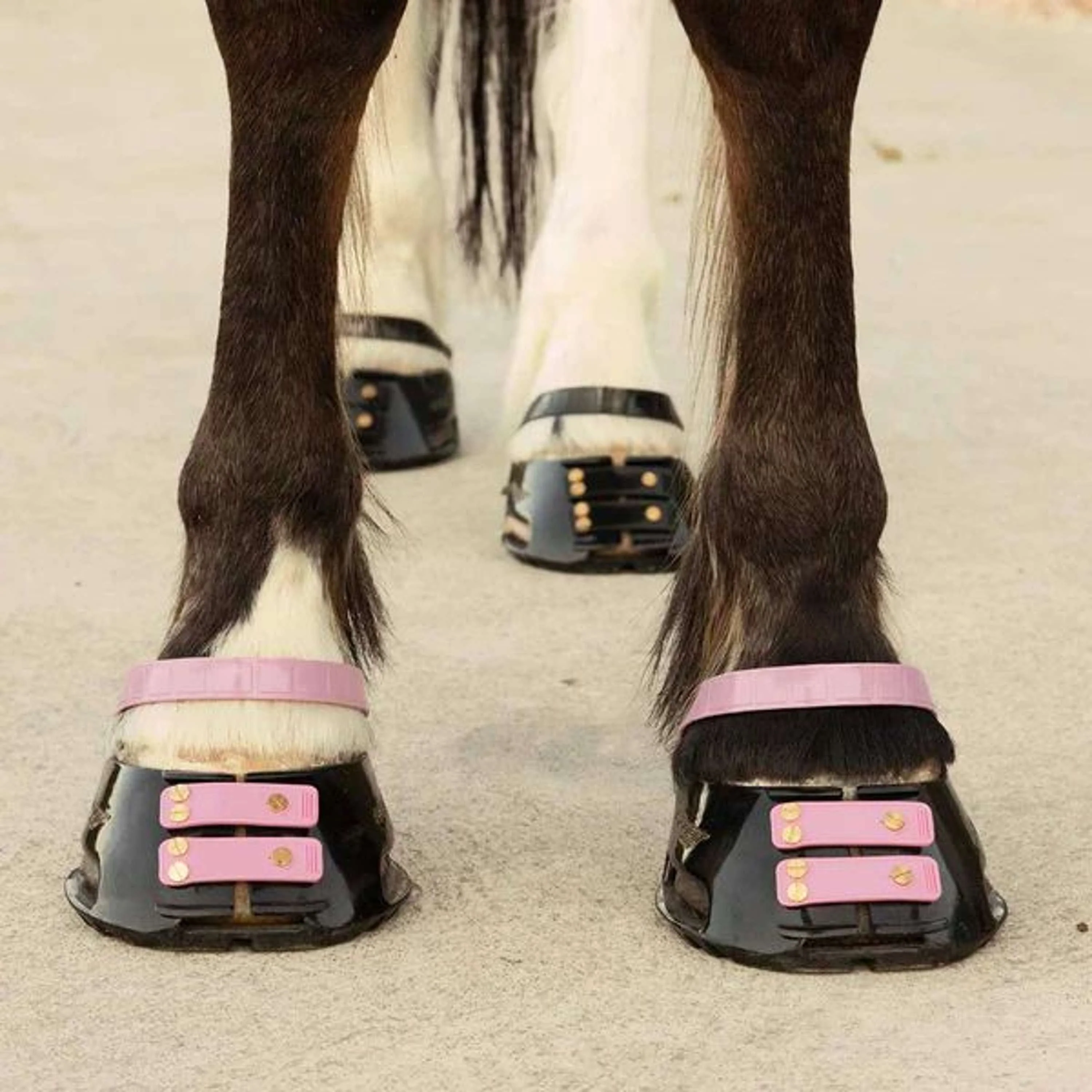 Scoot Boot Front Strap Blossom - Image 2