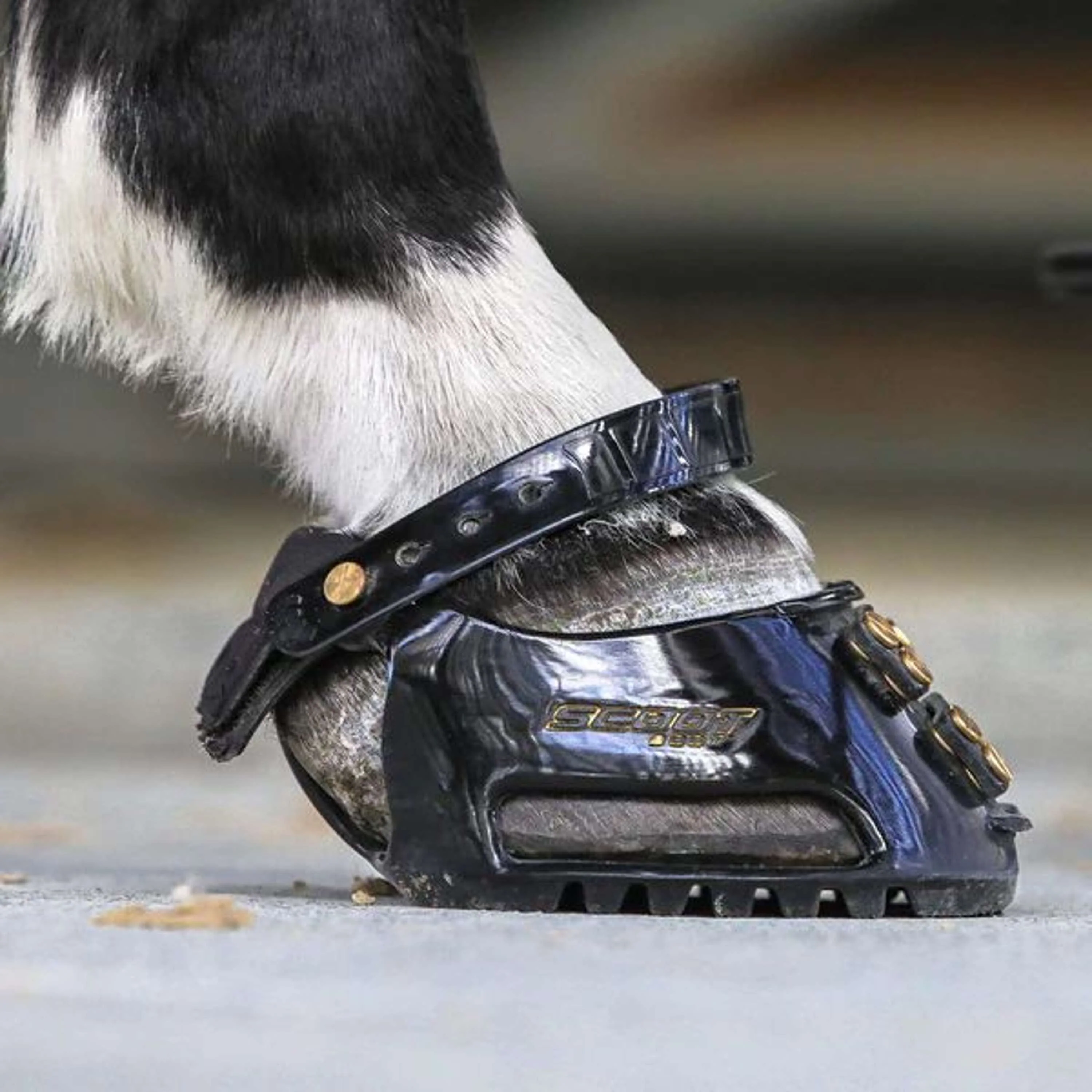 Scoot Boot Hufschuh Regular Single Pony Schwarz - Image 5