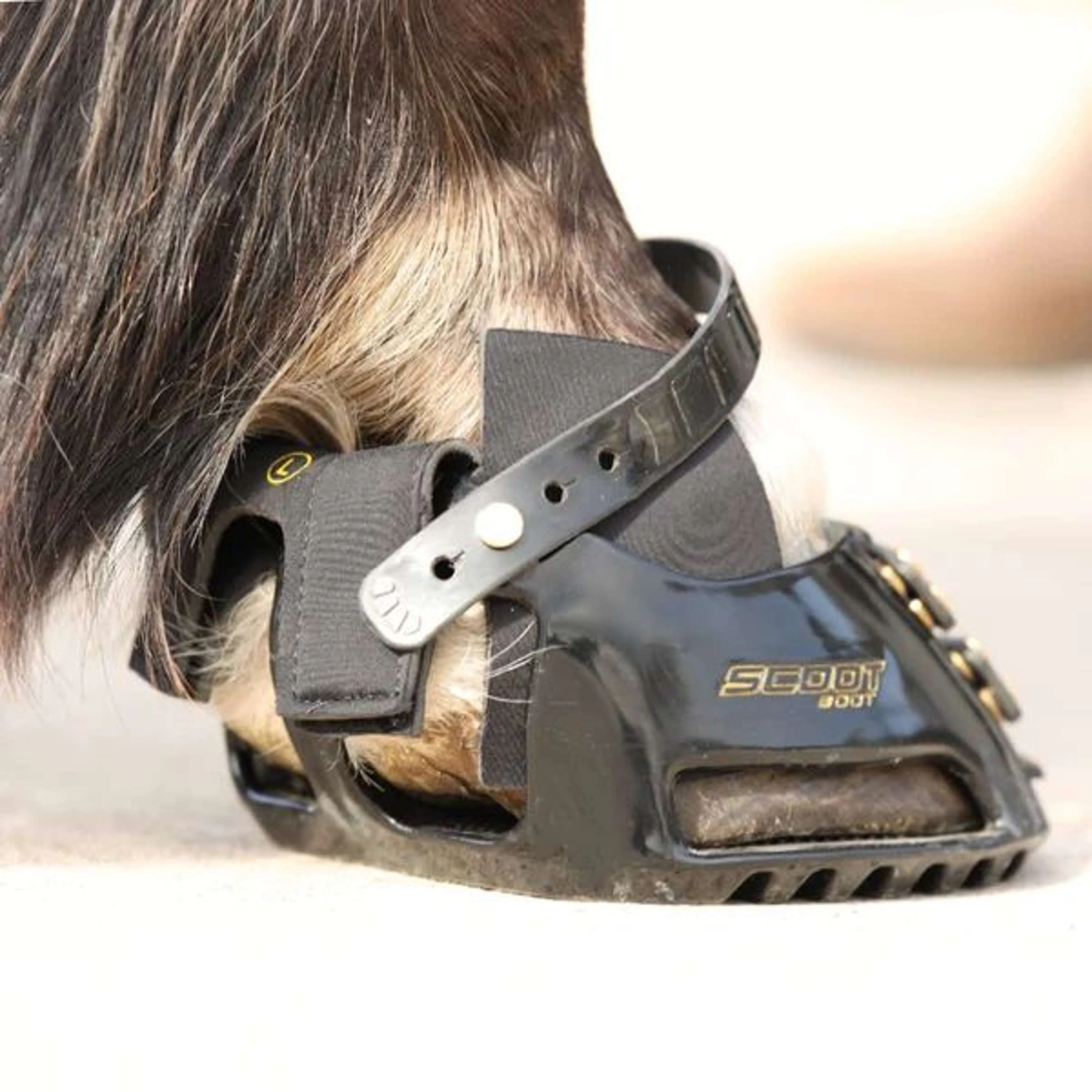Scoot Boot Hybrid Gaiter Schwarz - Image 4