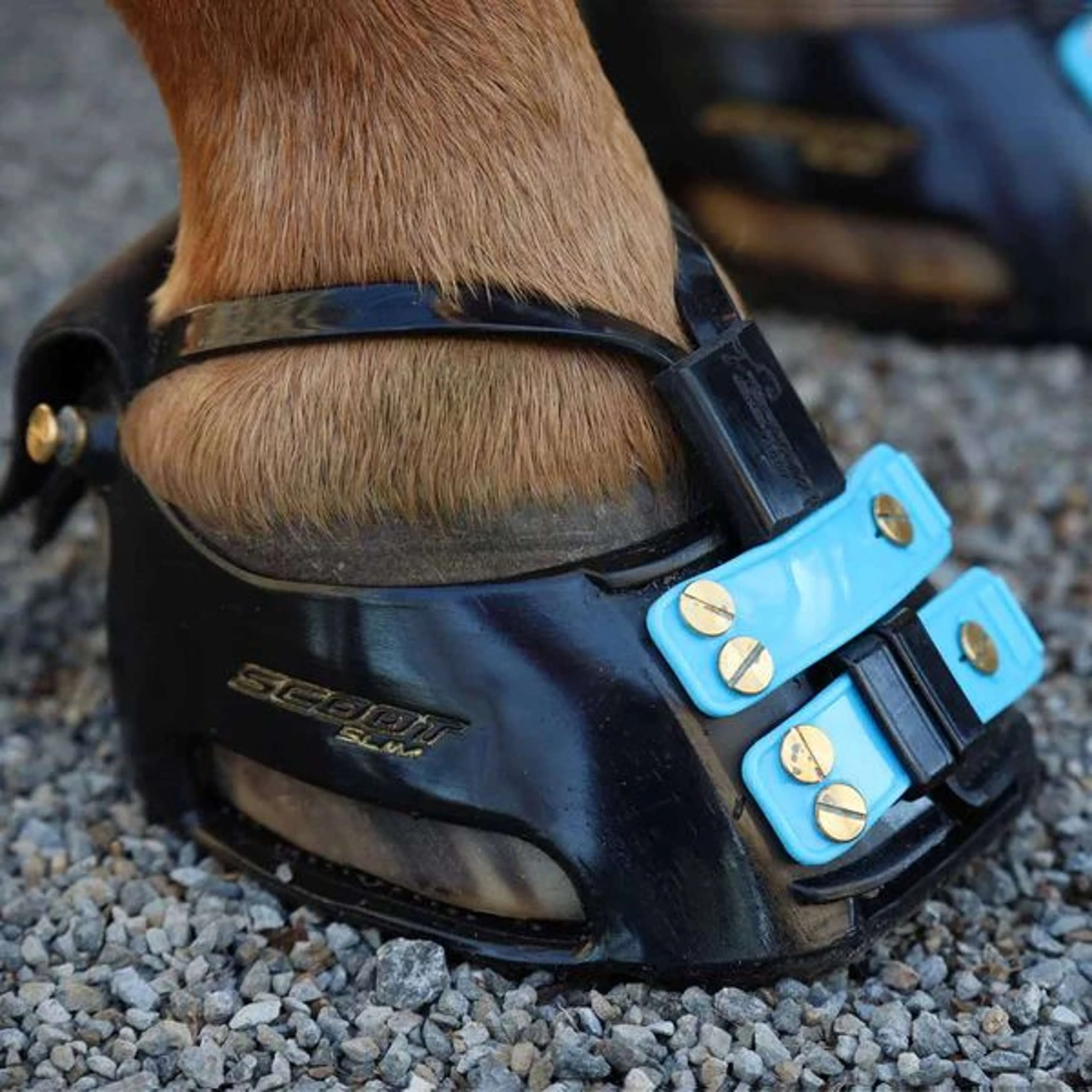 Scoot Boot Mud Strap Schwarz - Image 2