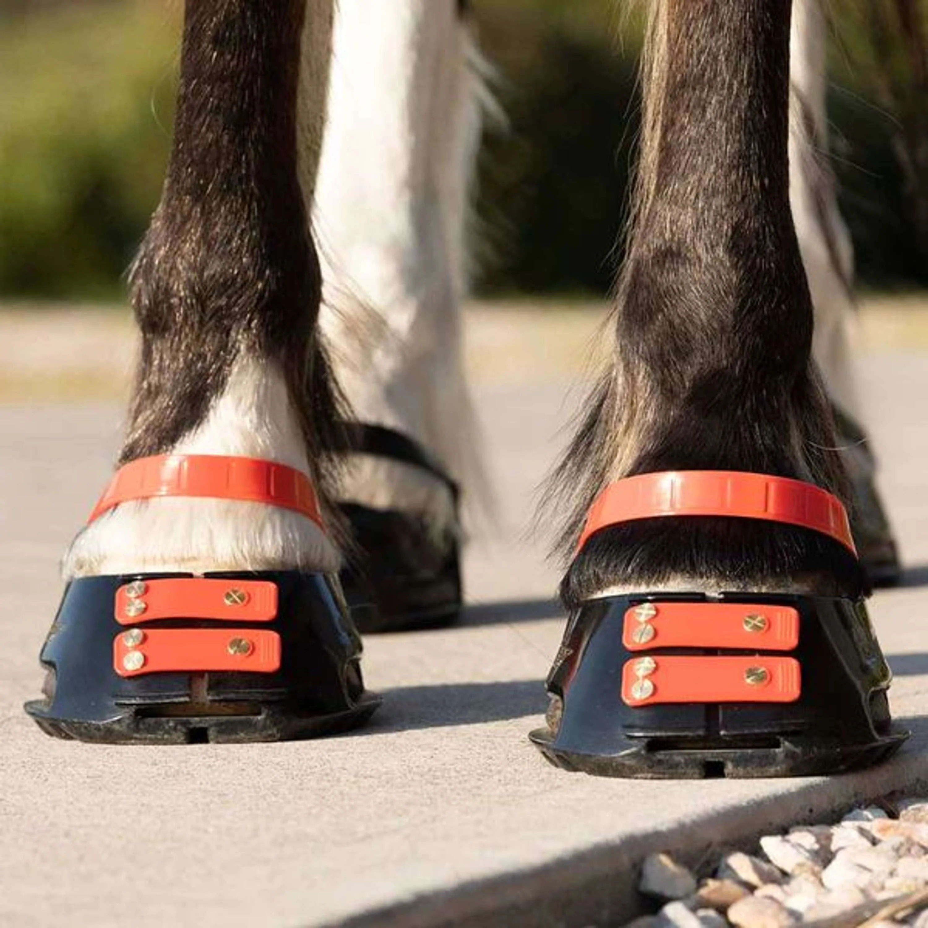 Scoot Boot Pastern Strap Hibiscus - Image 2