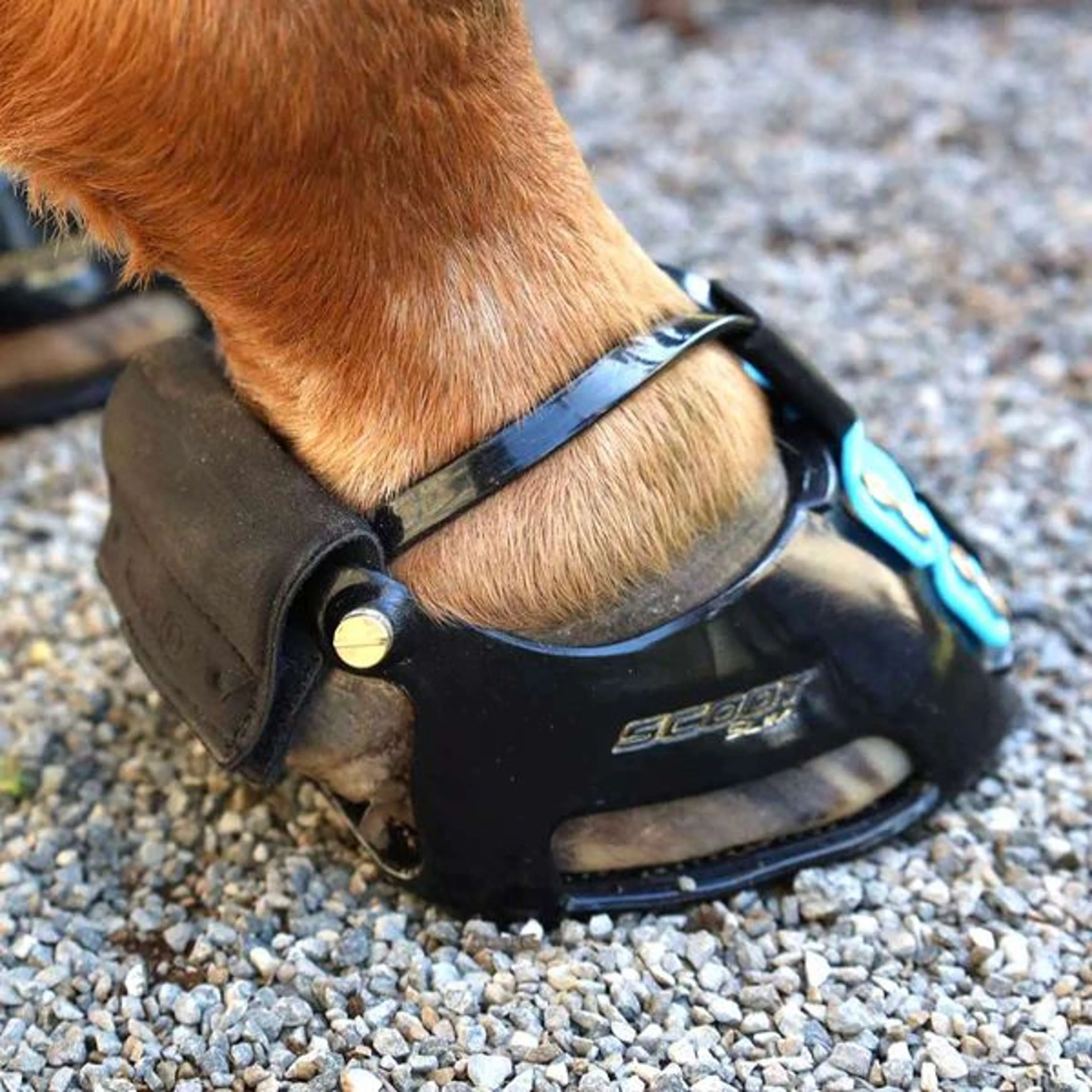 Scoot Boot Trail Gaiter Schwarz - Image 2