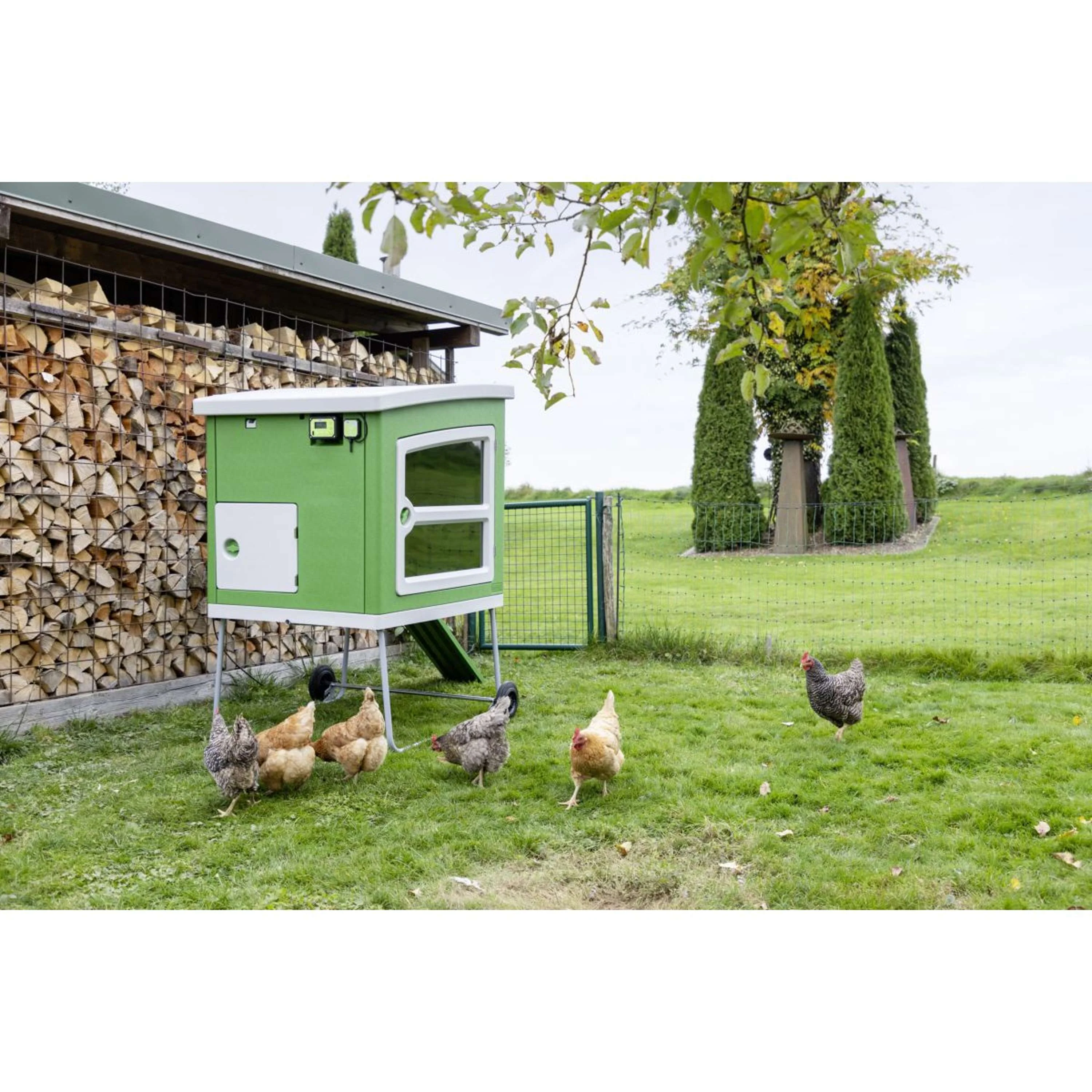 Smart Coop Steuergerät - Image 4