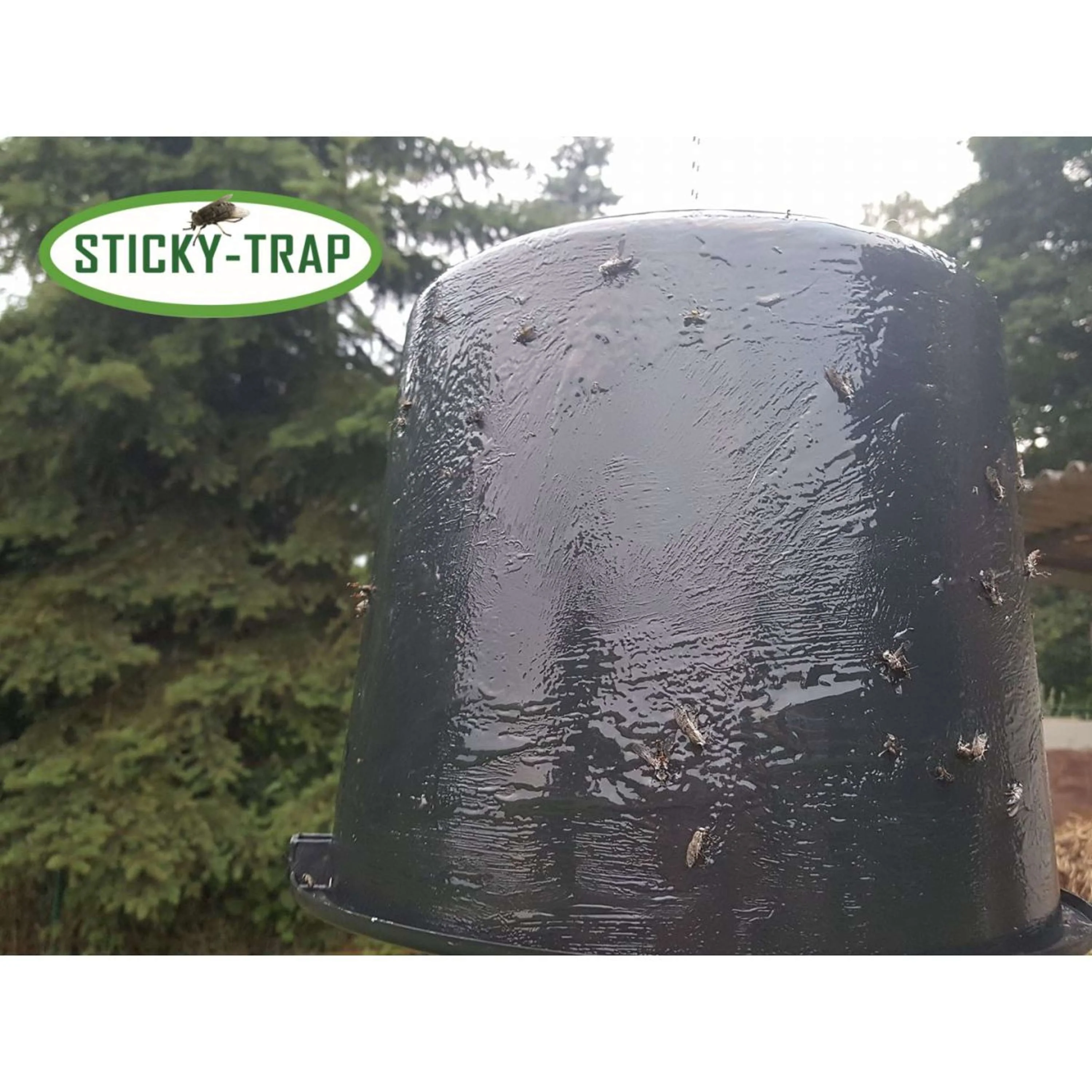 Sticky Trap Eimer Schwarz 12L Schwarz - Image 4