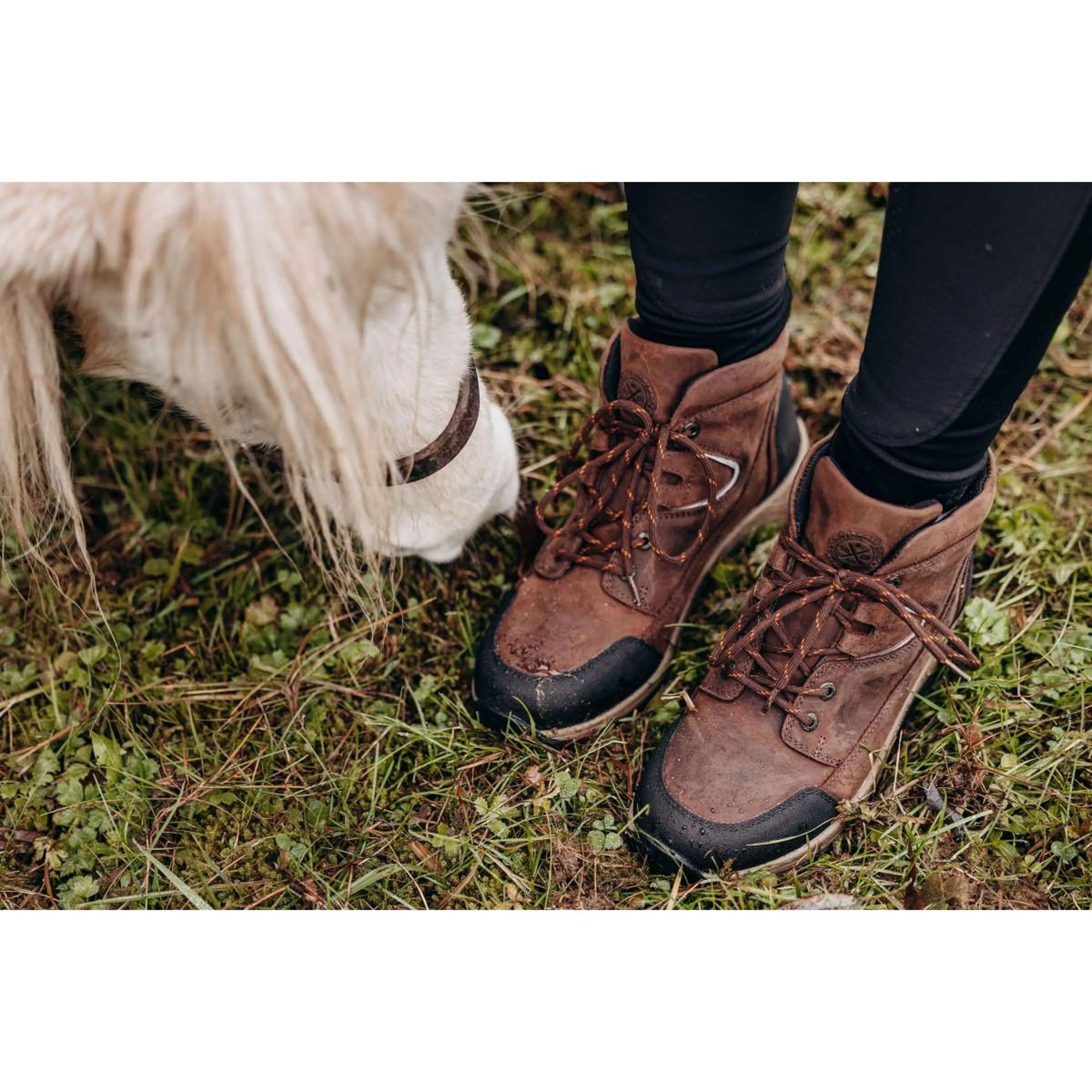 Suedwind Stiefelette Field Lace GripFTX Schokolade - Image 8