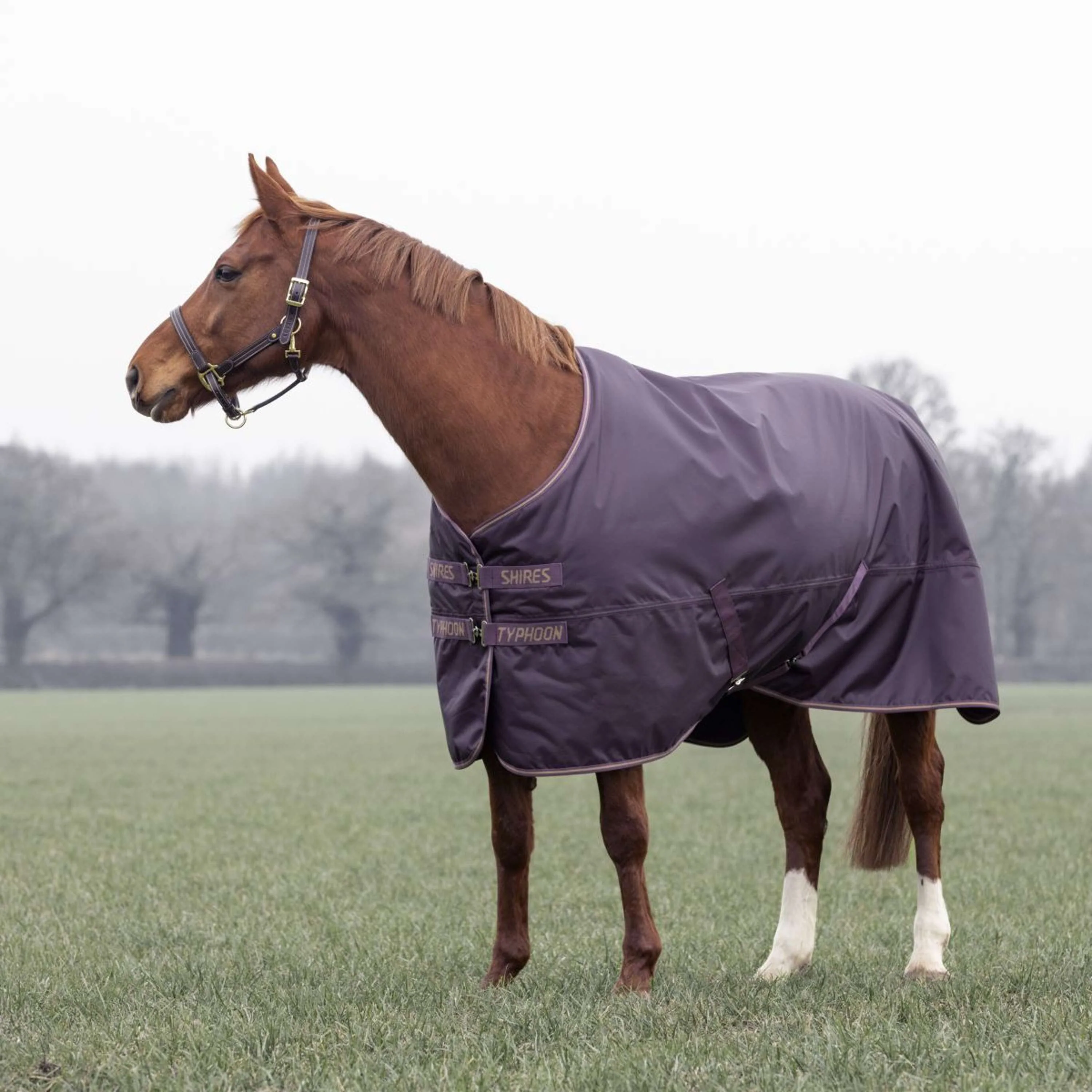Tempest by Shires Winterdecke Turnout Typhoon 100g Black Cherry - Image 2