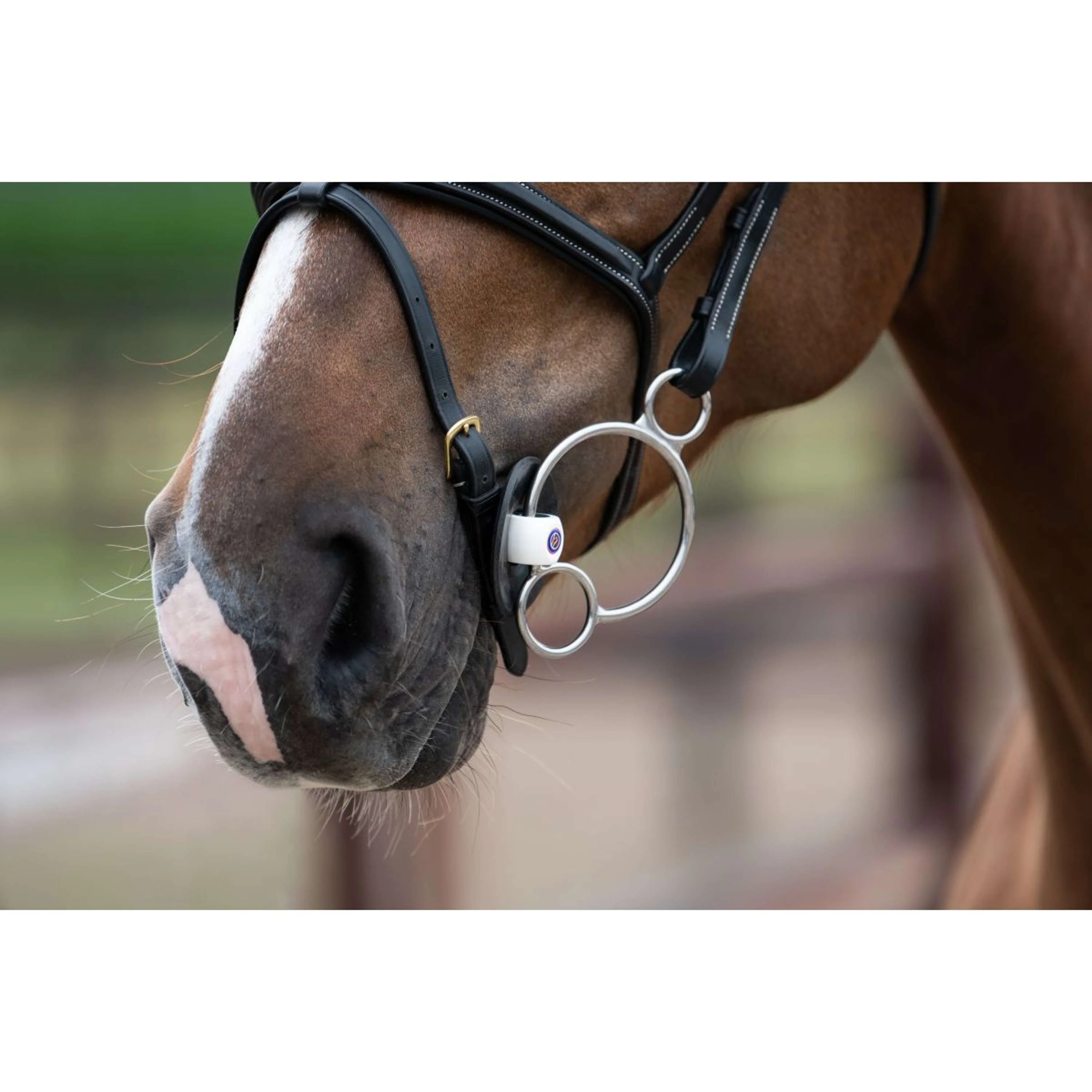 Trust Pessoa Gebiss Inno Sense 2,5 Ring Port Medium 15mm - Image 2