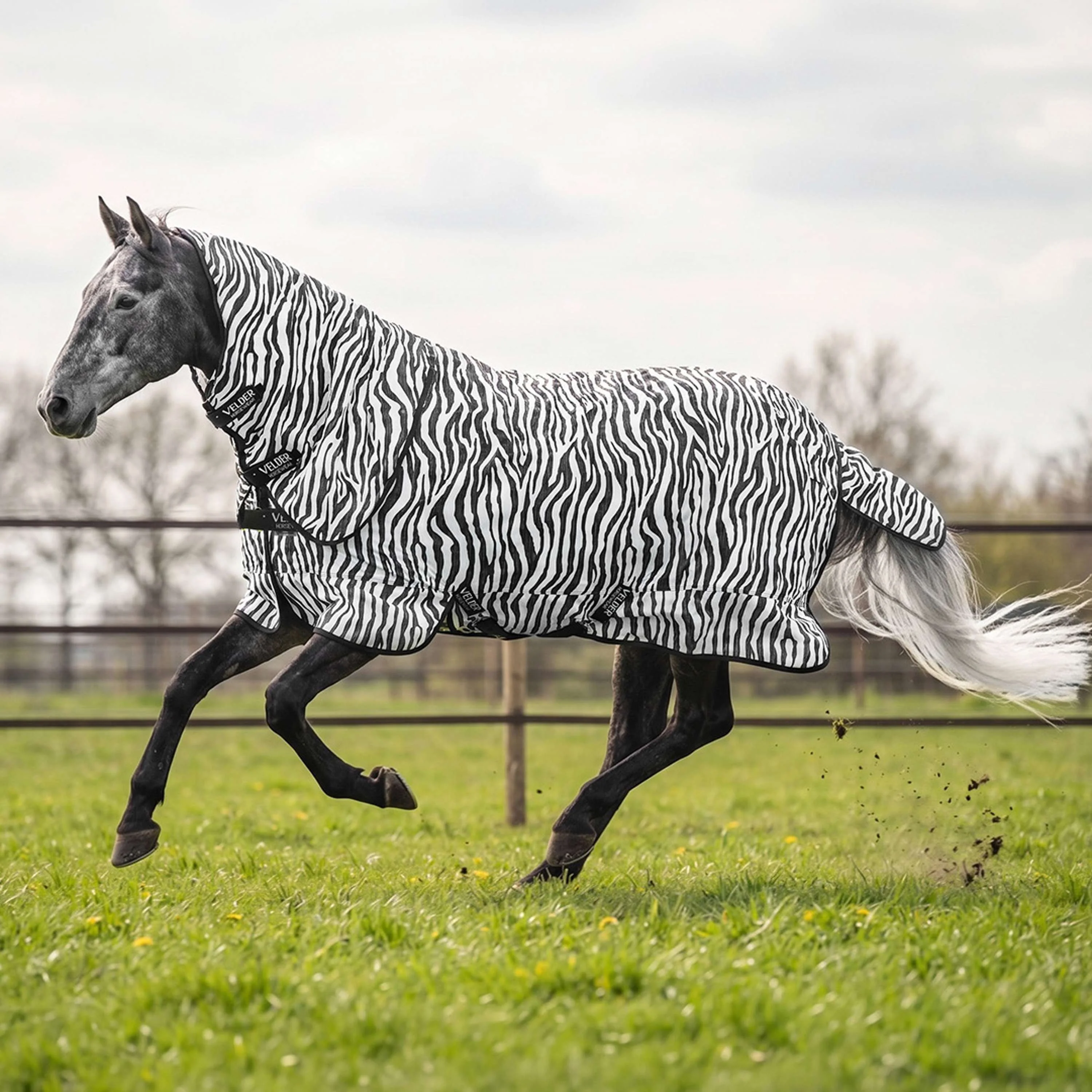 Velder Horsewear Fliegendecke mit Halsteil Zebra Schwarz/Weiß