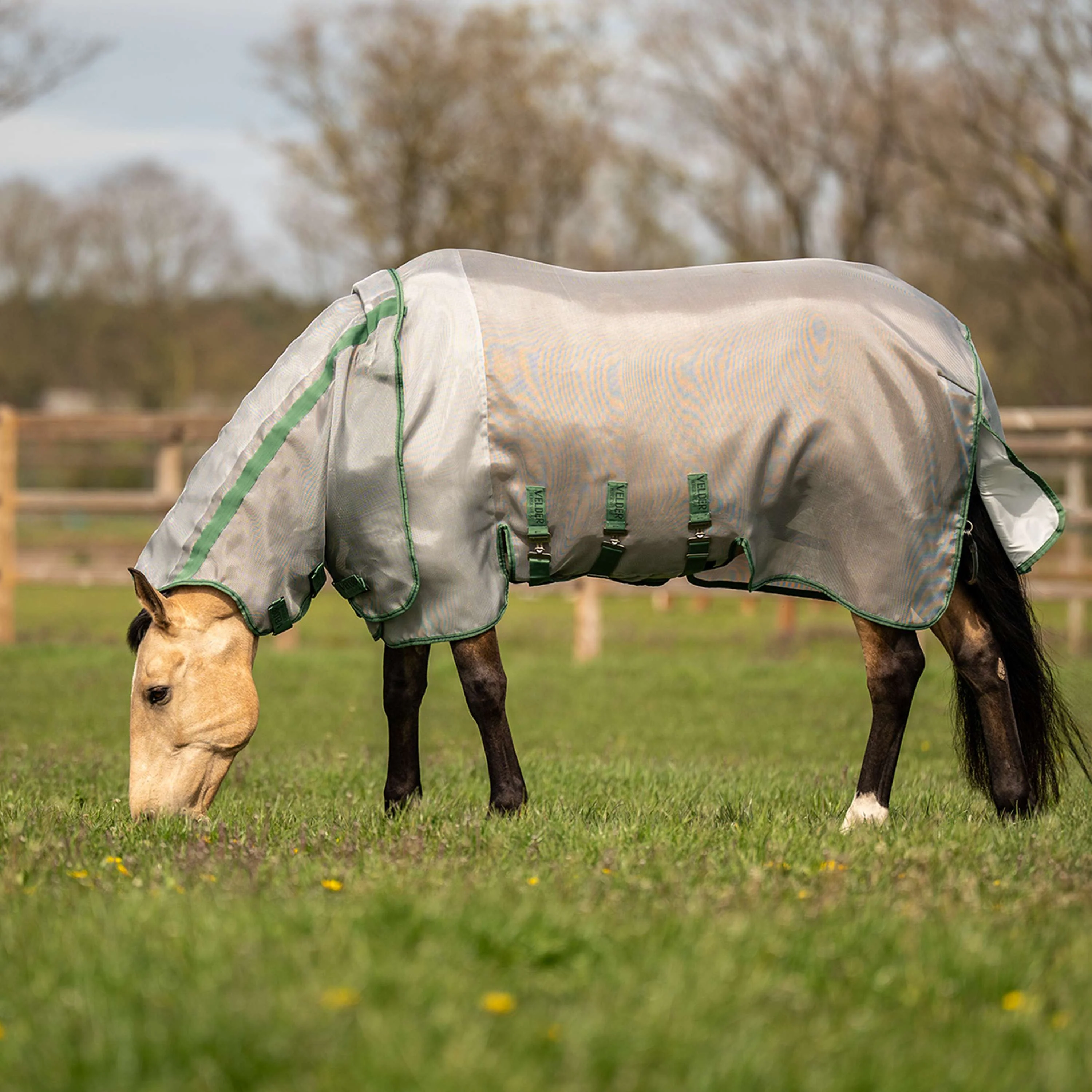 Velder Horsewear Insect Guard Plus Silber - Image 2
