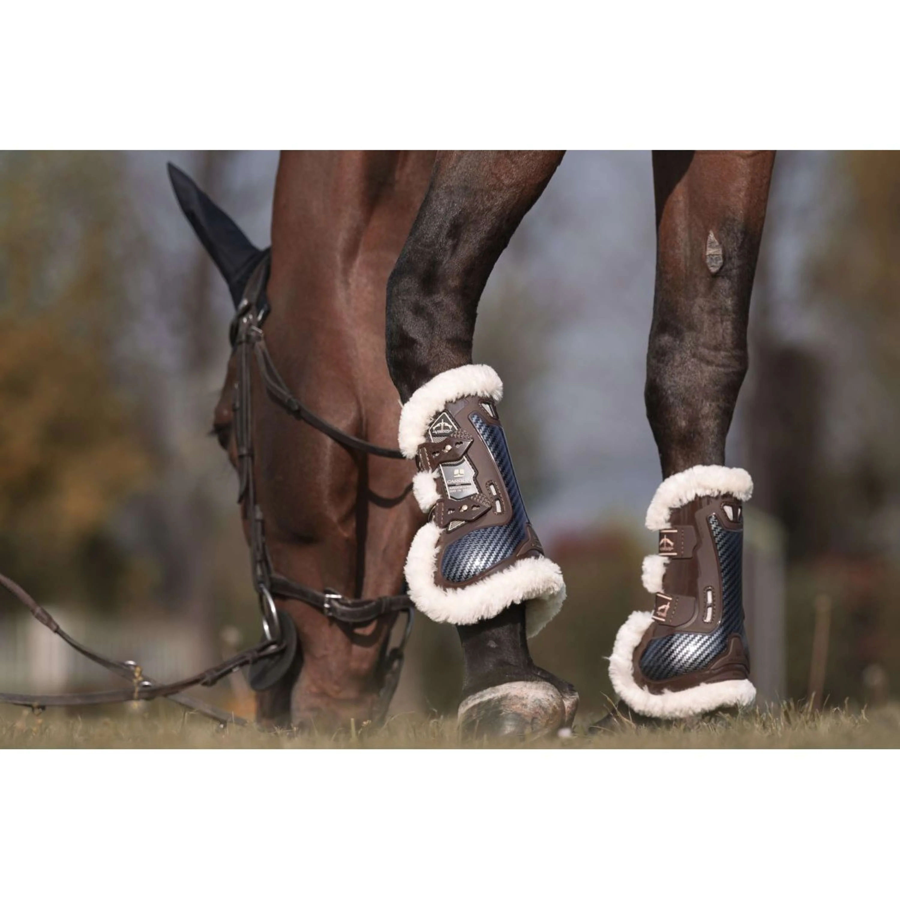 Veredus Sehnenschutz Carbon Gel Absolute Save the Sheep Front Braun - Image 5