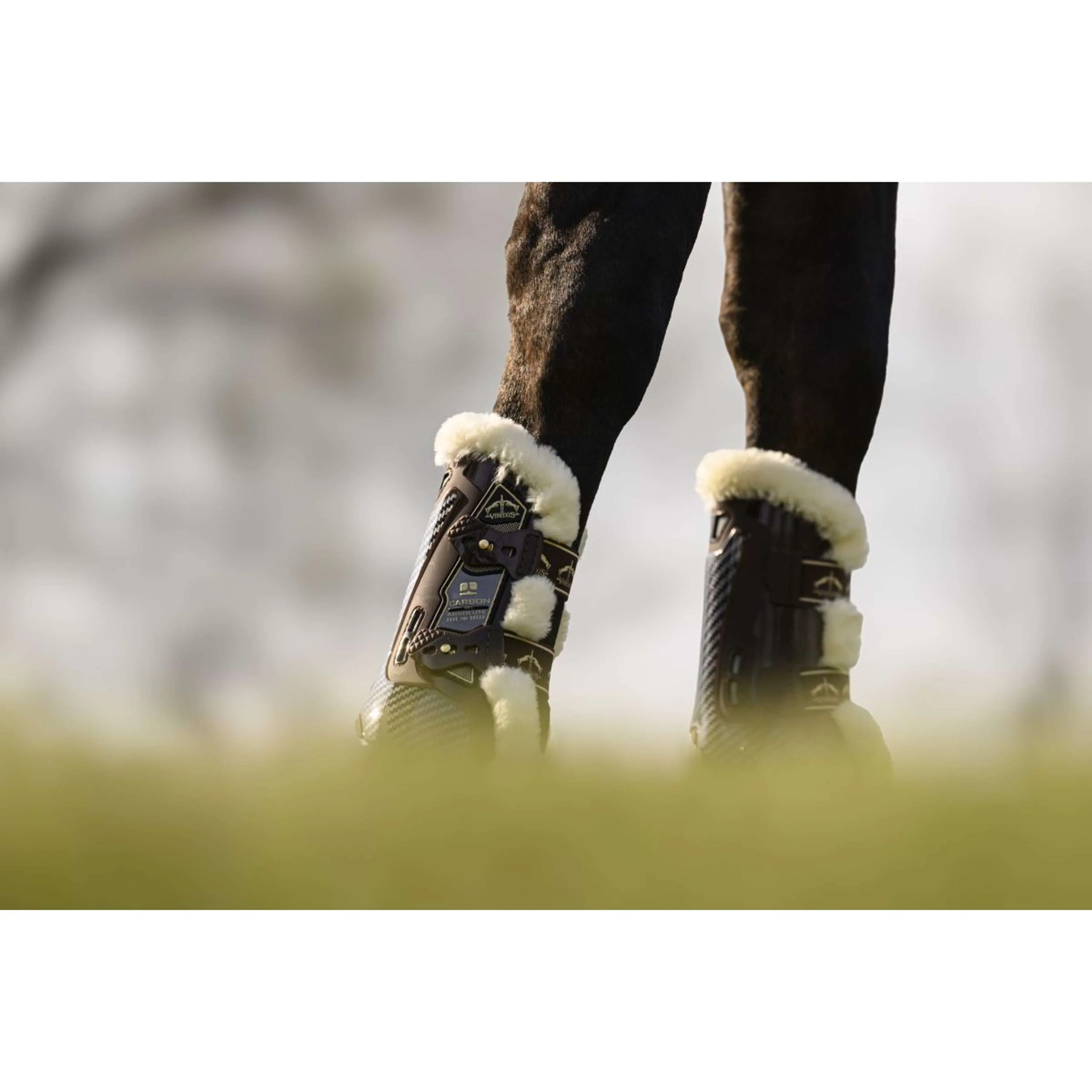 Veredus Sehnenschutz Carbon Gel Absolute Save the Sheep Front Braun - Image 9