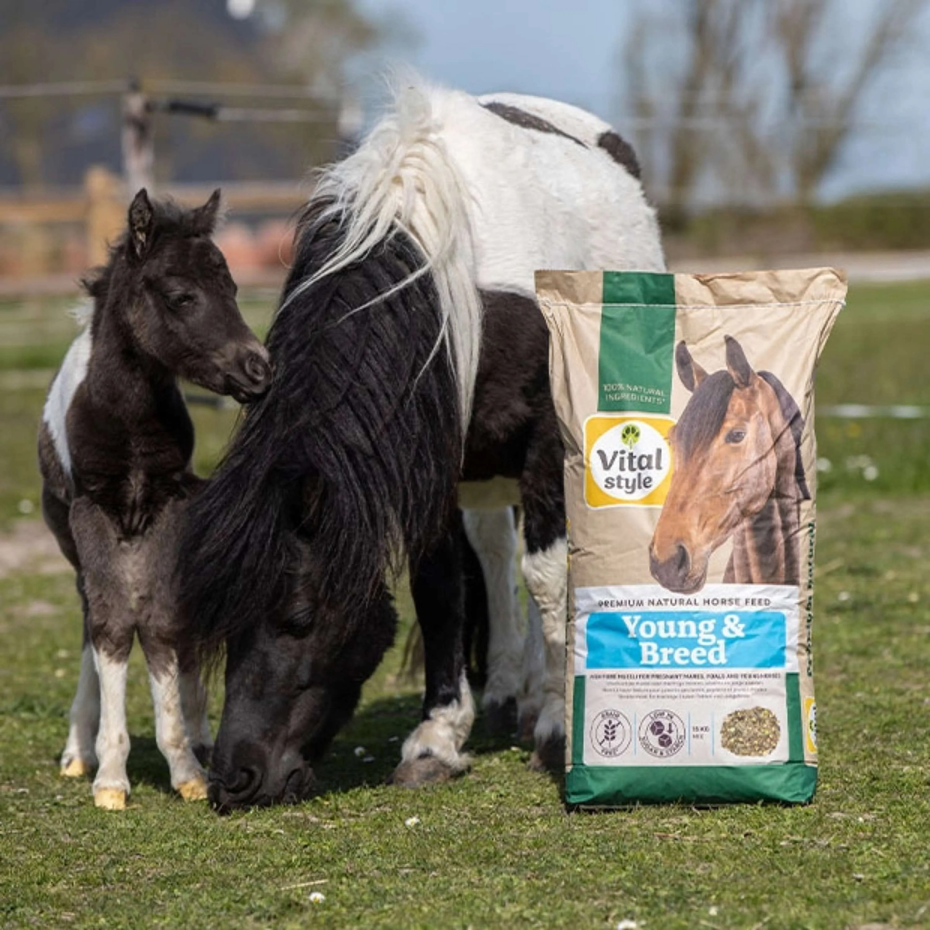 Vitalstyle Müsli Young & Breed - Image 2