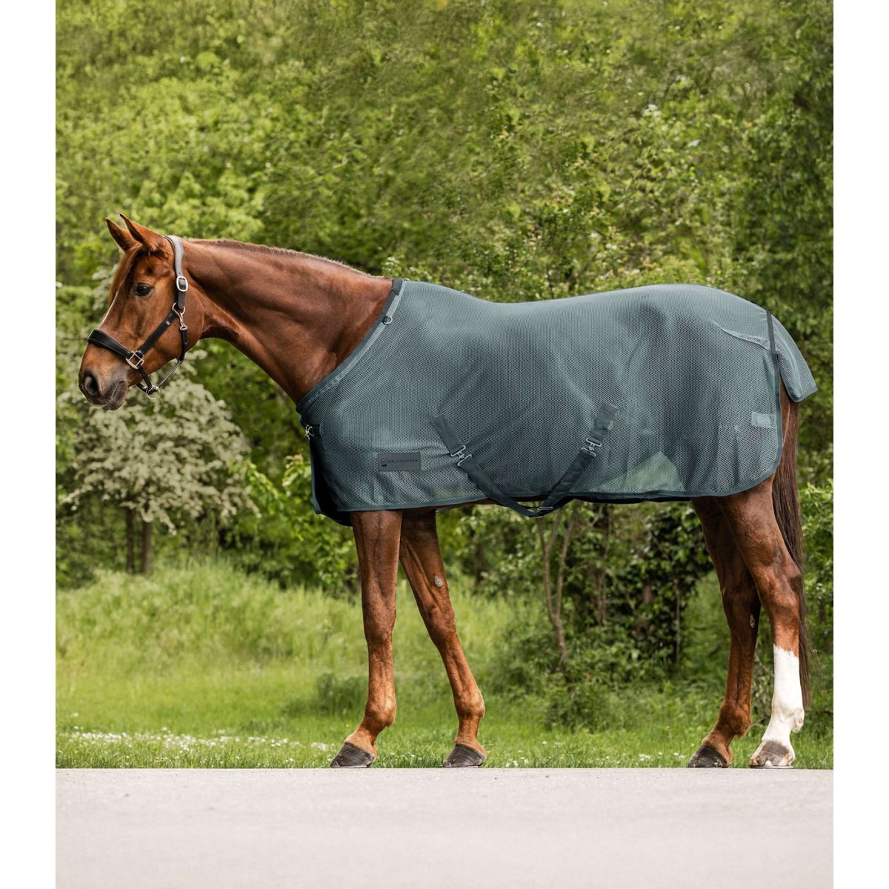 Waldhausen Fliegendecke Comfort Kreuzgurte Pine Green