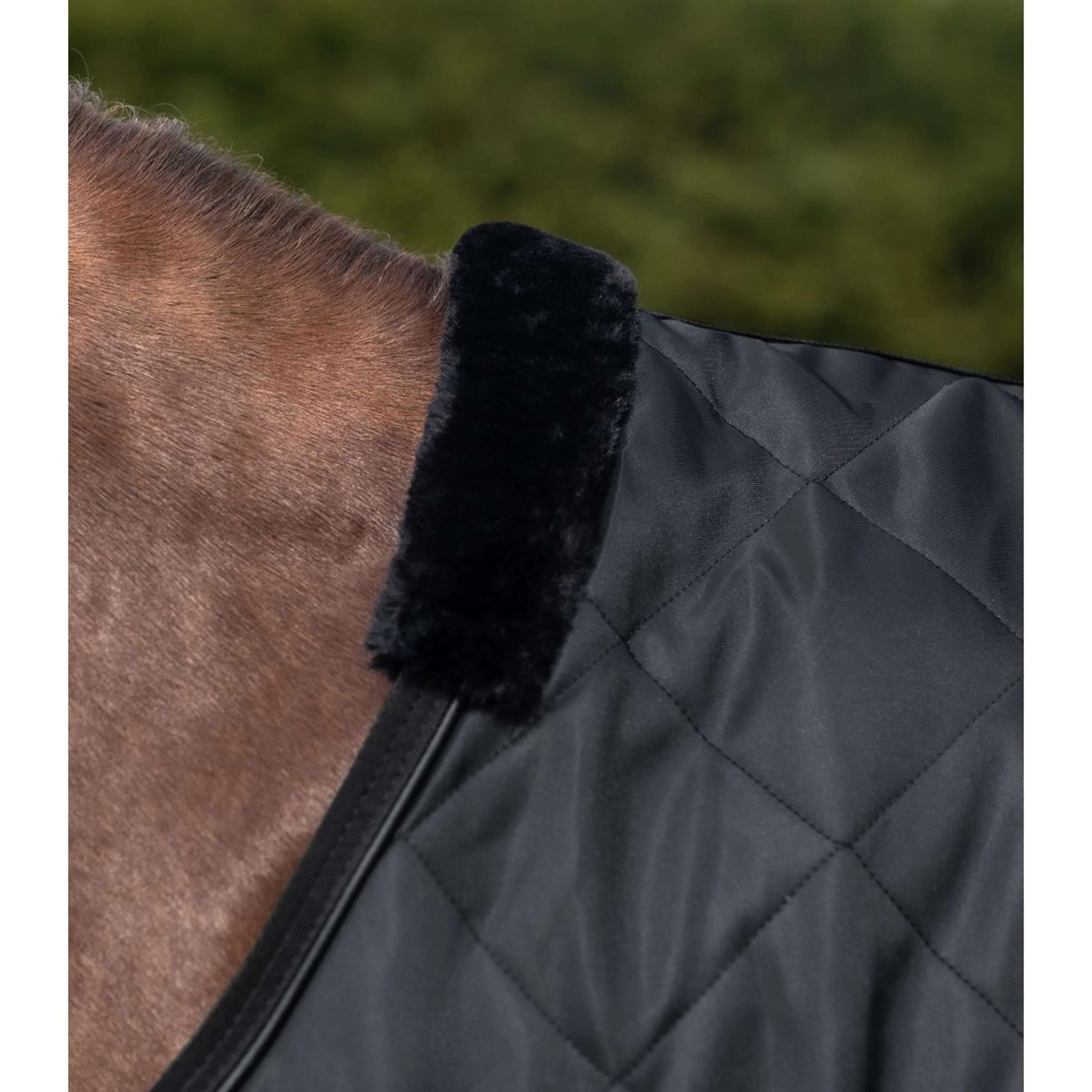 Waldhausen Führanlagendecke Exclusive Schwarz - Image 2