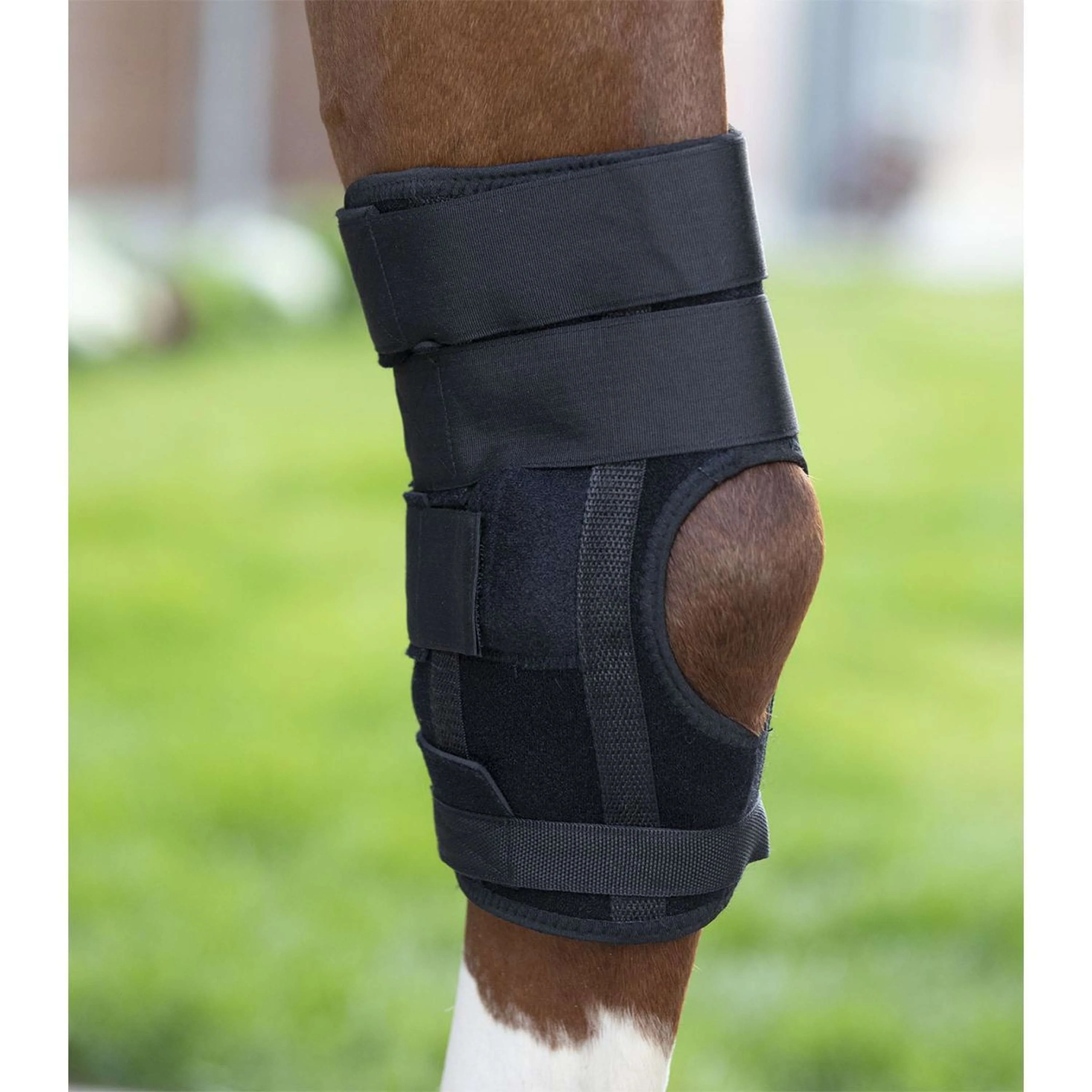 Waldhausen Health + Care Gamaschen Health & Care Sprunggelenk Schwarz - Image 2