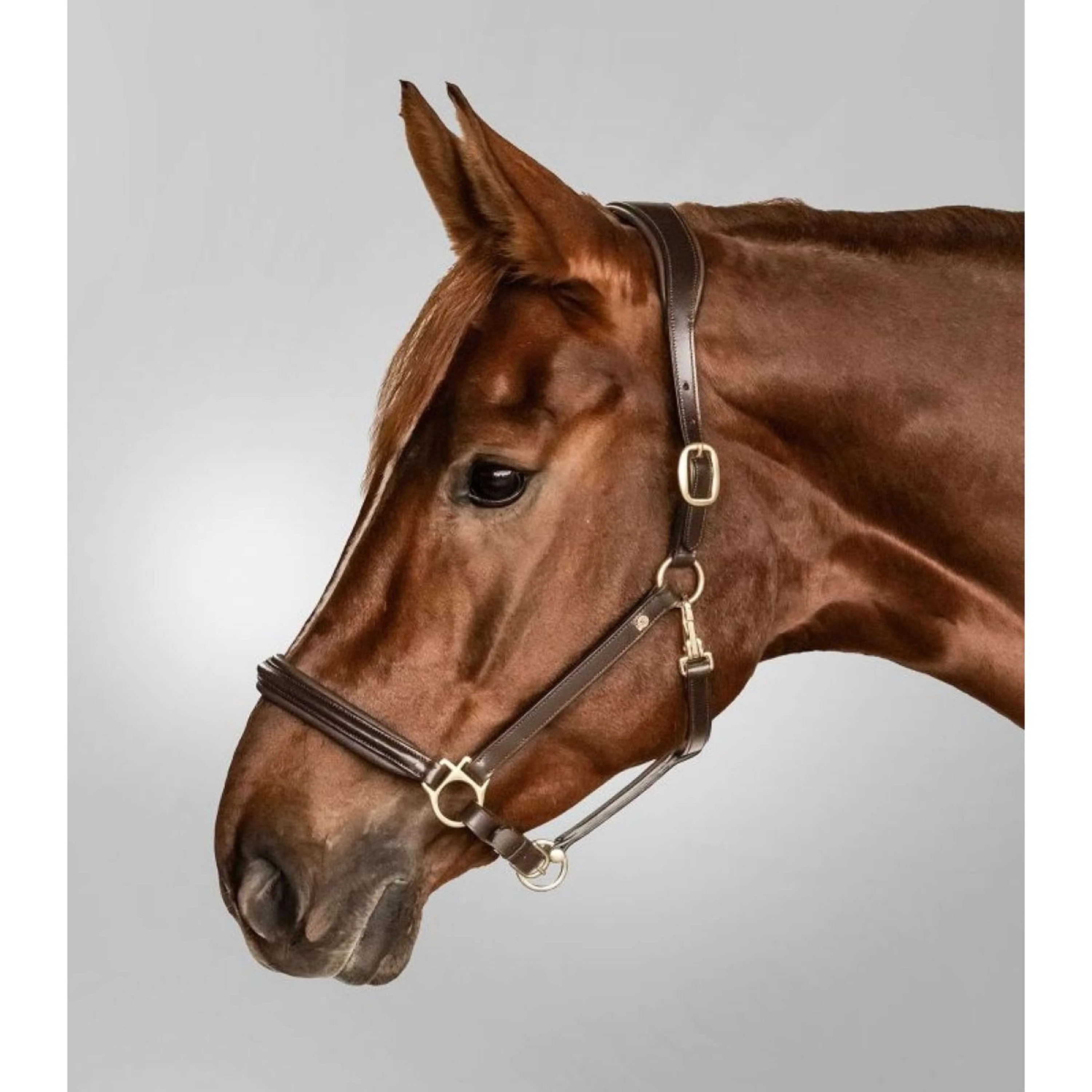Waldhausen Halfter S-Line Classy Leder Braun - Image 3
