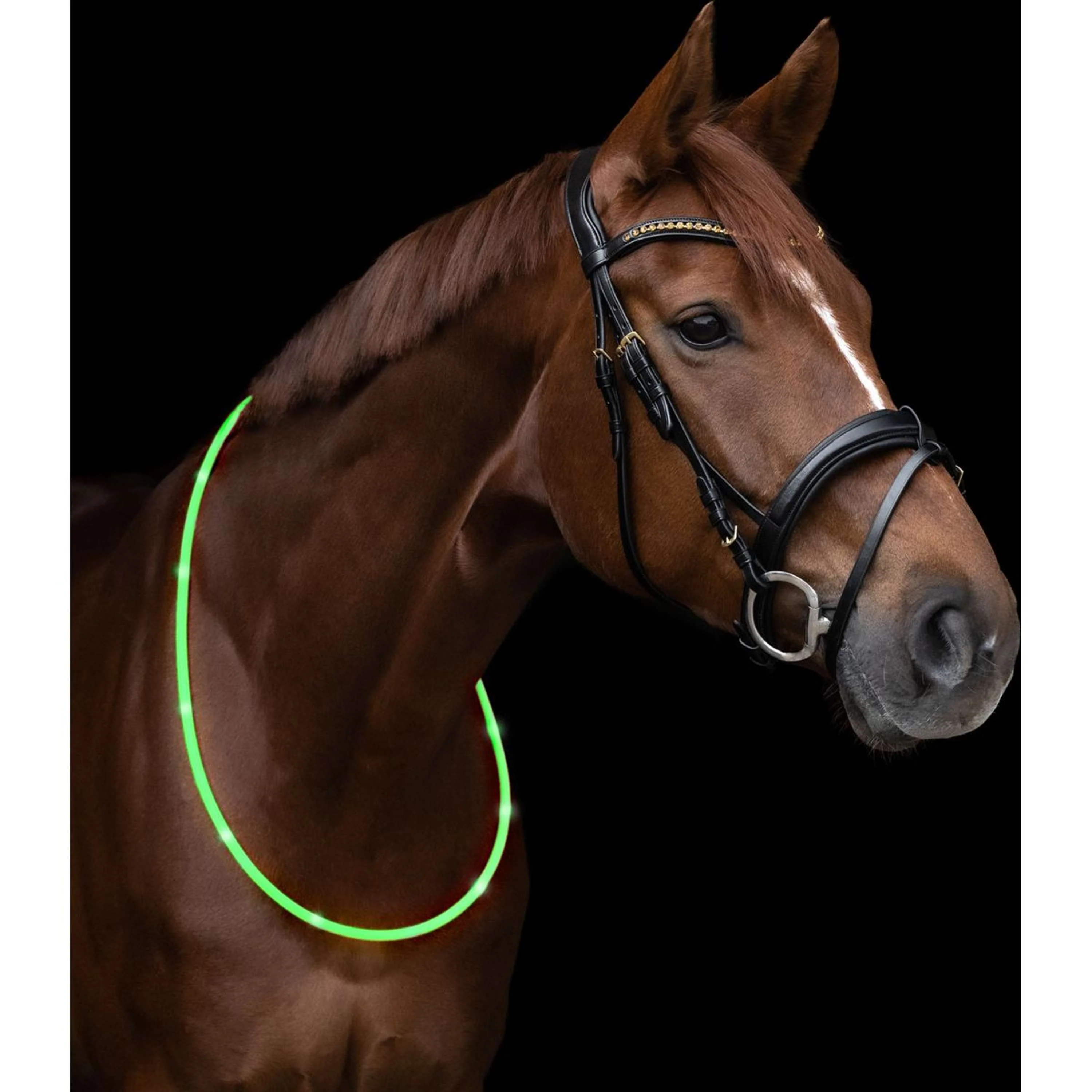 Waldhausen Halsring LED Grün - Image 3