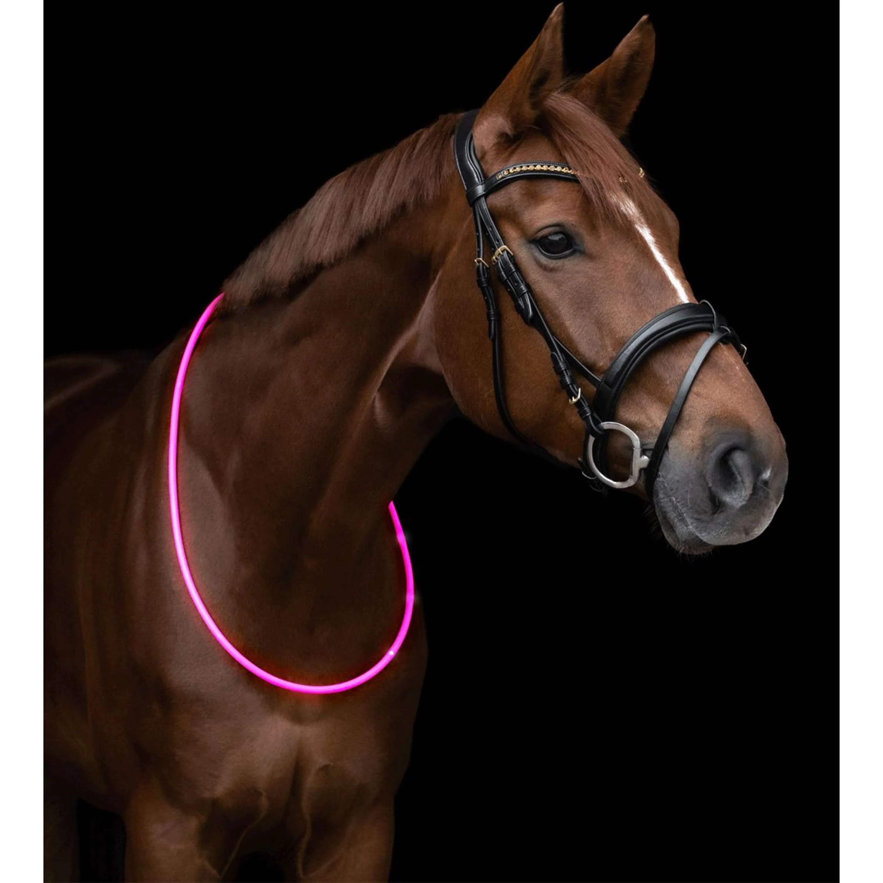 Waldhausen Halsring LED Rosa - Image 3