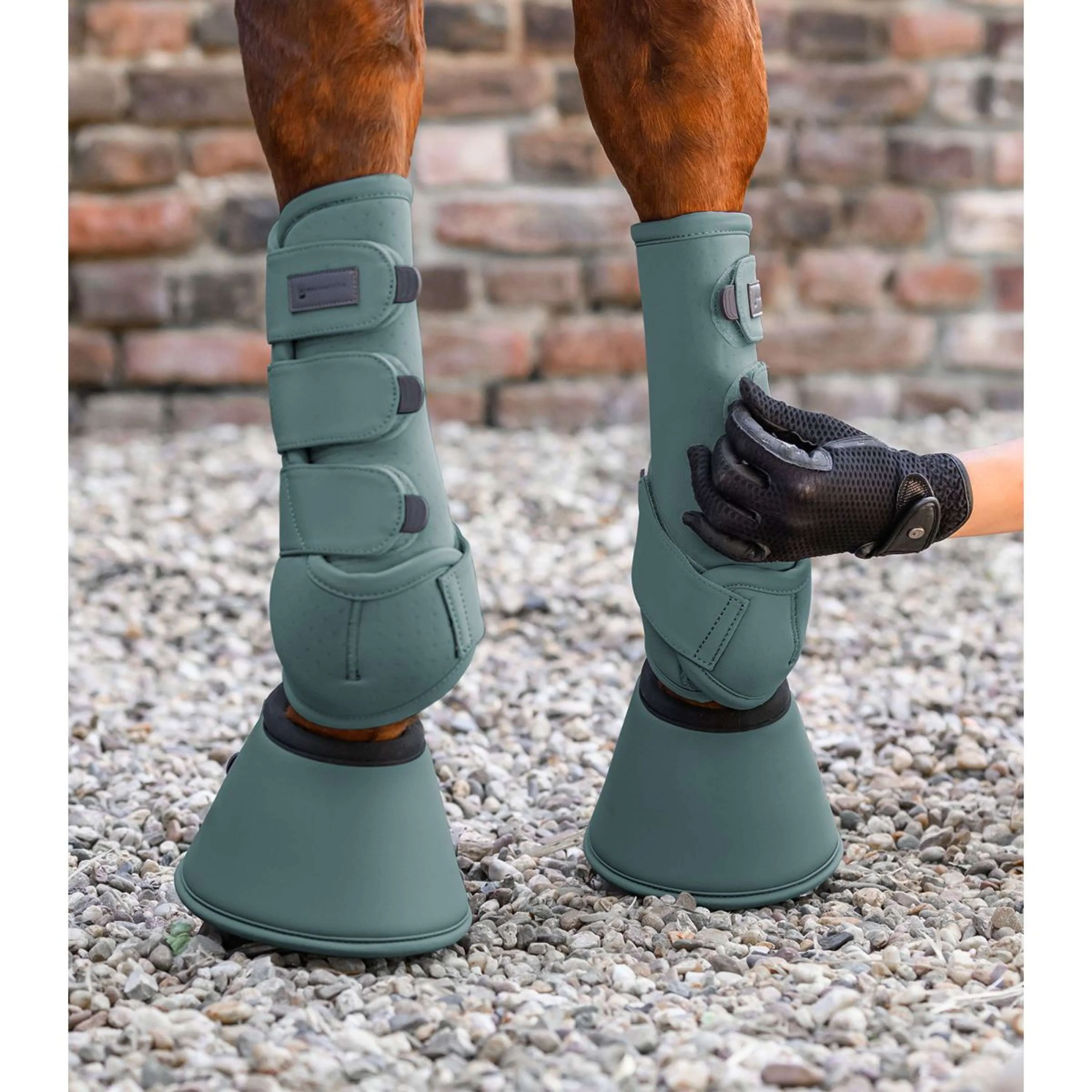 Waldhausen Hufglocken Performance Pine Green - Image 4