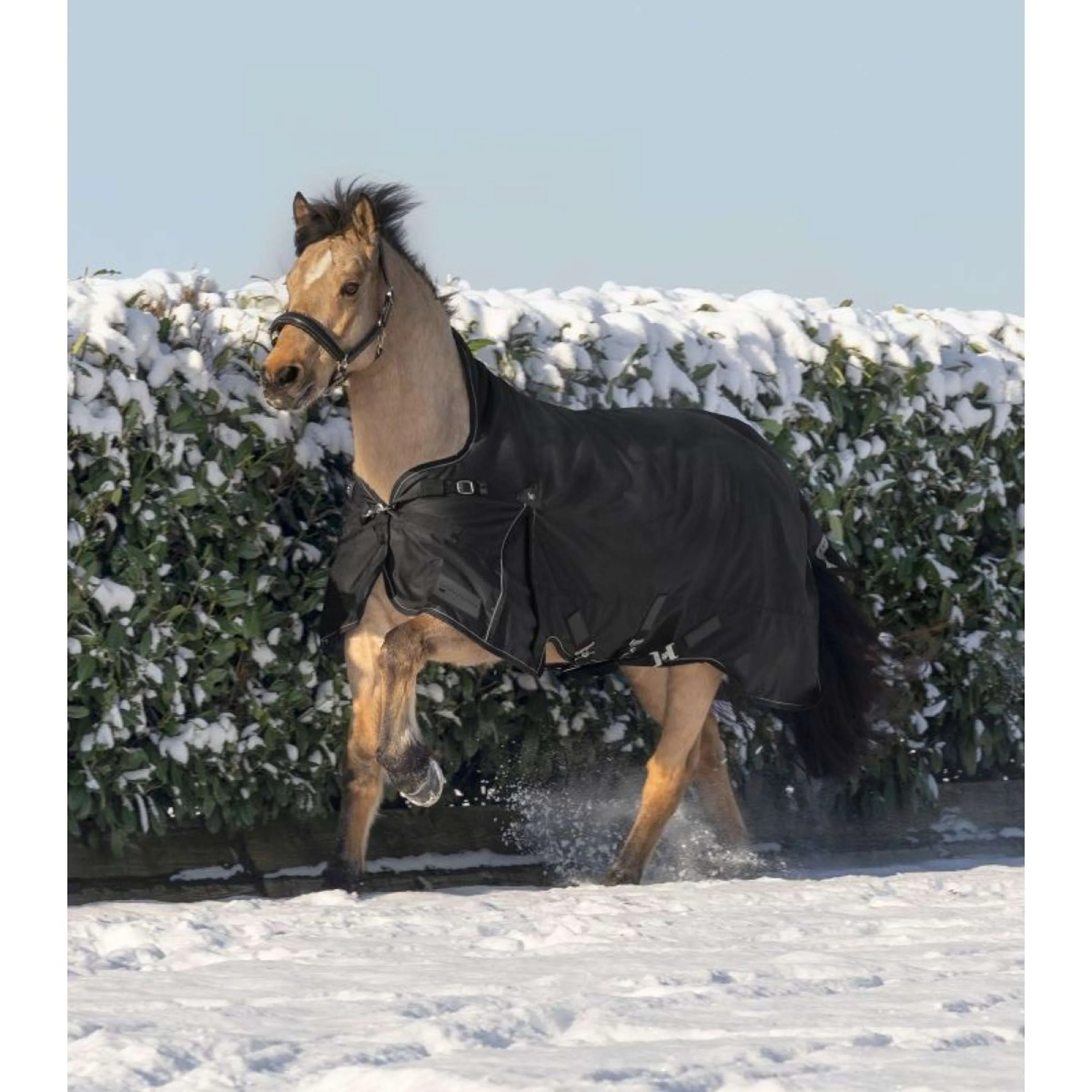 Waldhausen Outdoordecke Scandic High Neck 100g Schwarz - Image 3