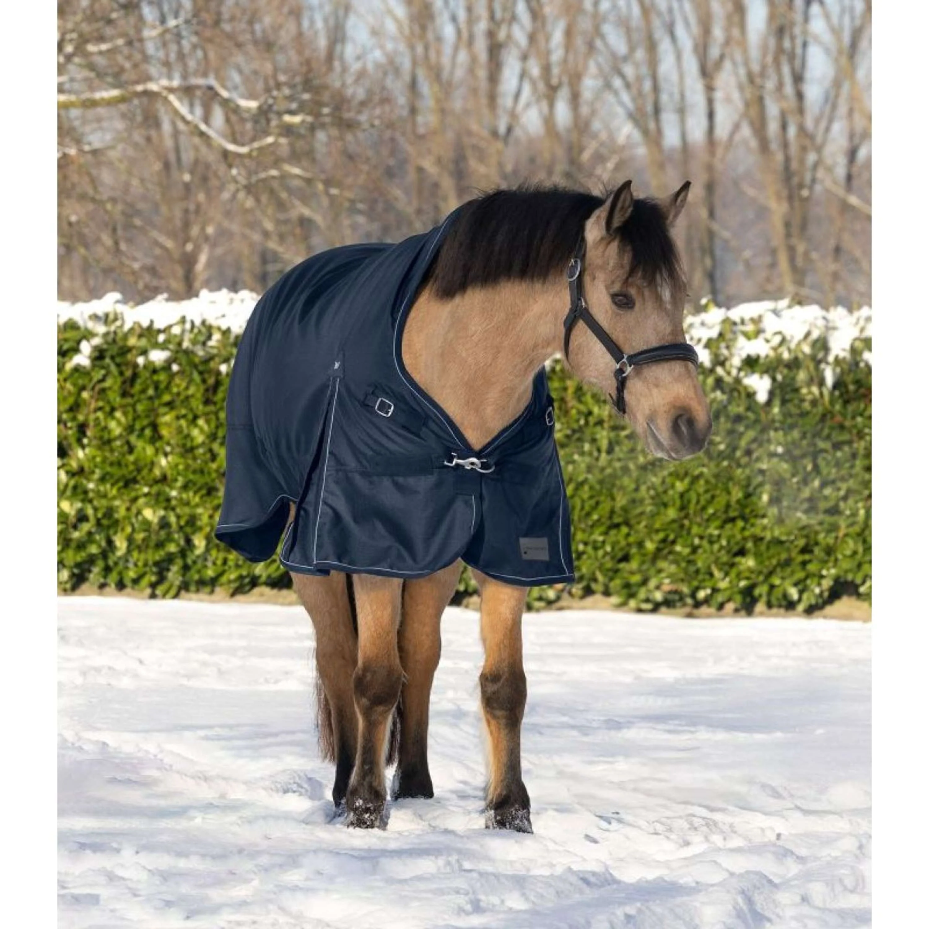 Waldhausen Outdoordecke Scandic High Neck 200g Nachtblau - Image 3