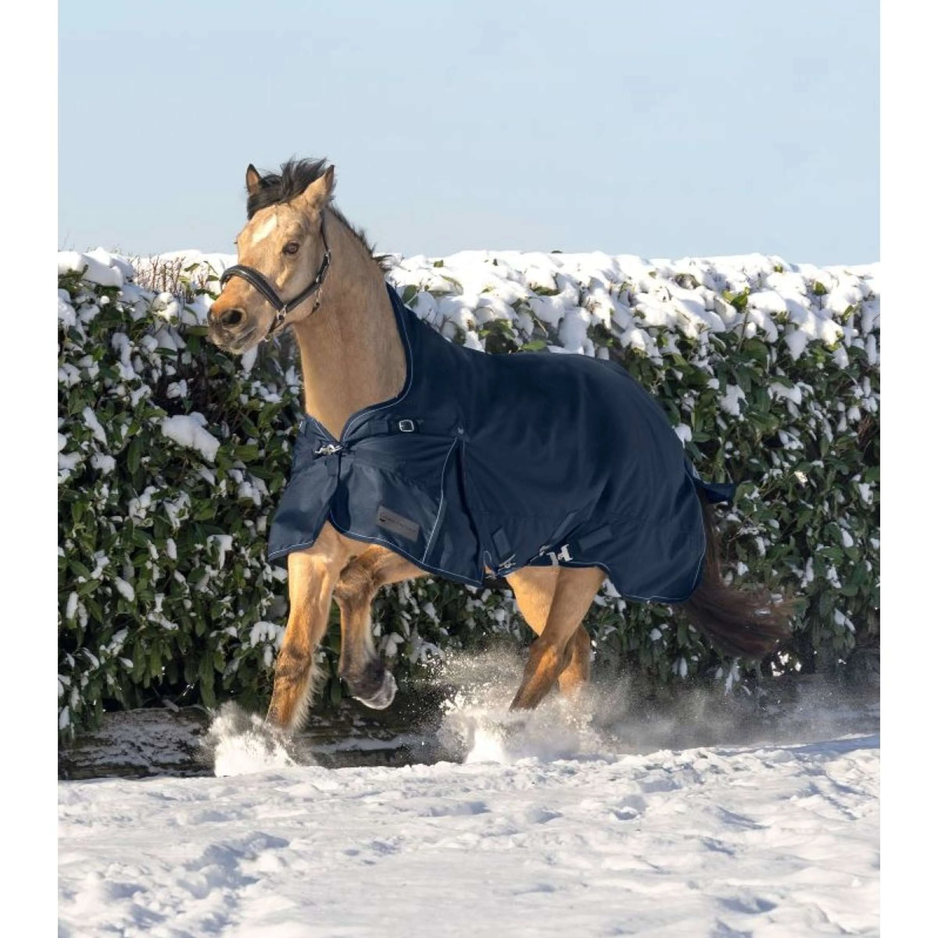 Waldhausen Outdoordecke Scandic High Neck 200g Nachtblau - Image 4