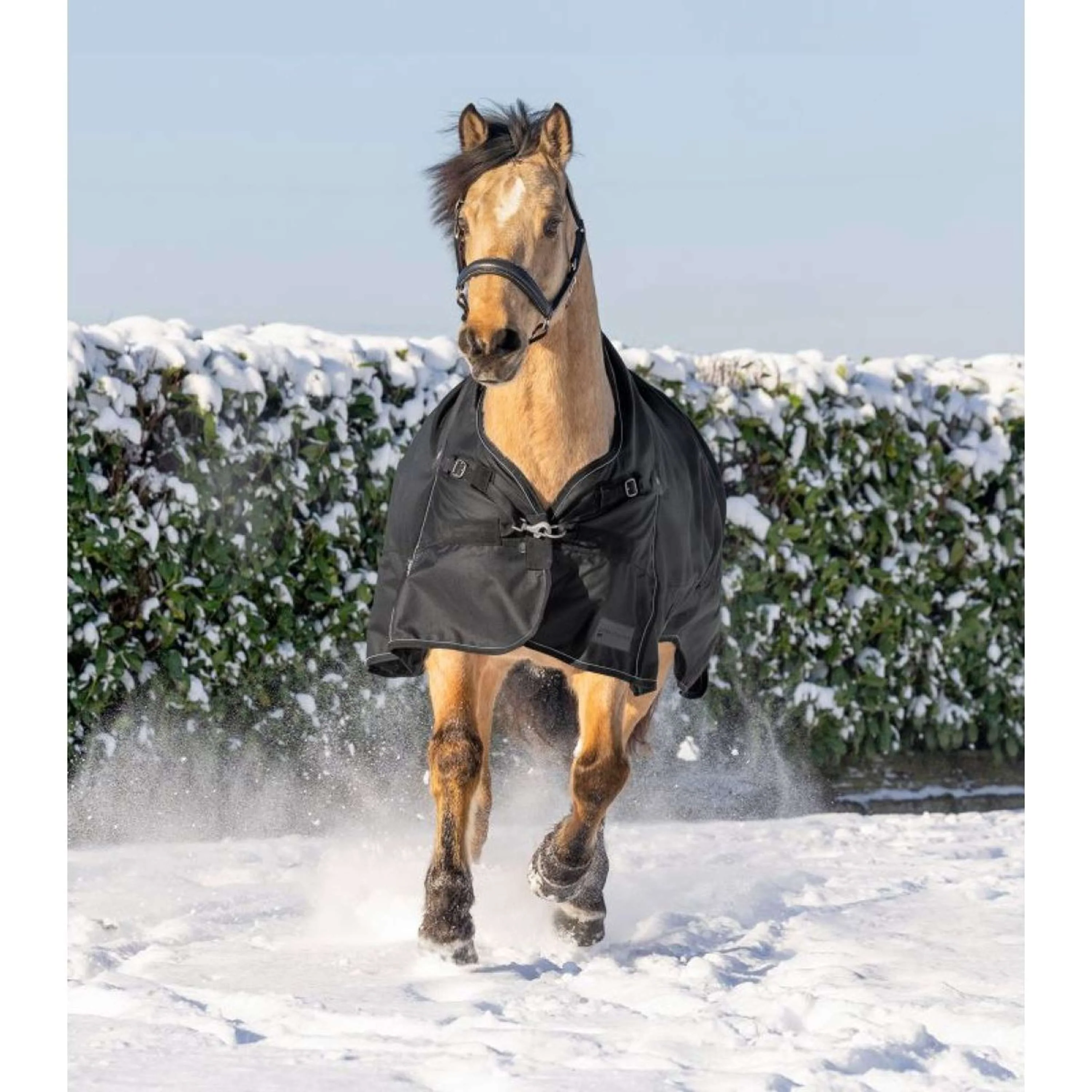 Waldhausen Outdoordecke Scandic High Neck 200g Schwarz - Image 4