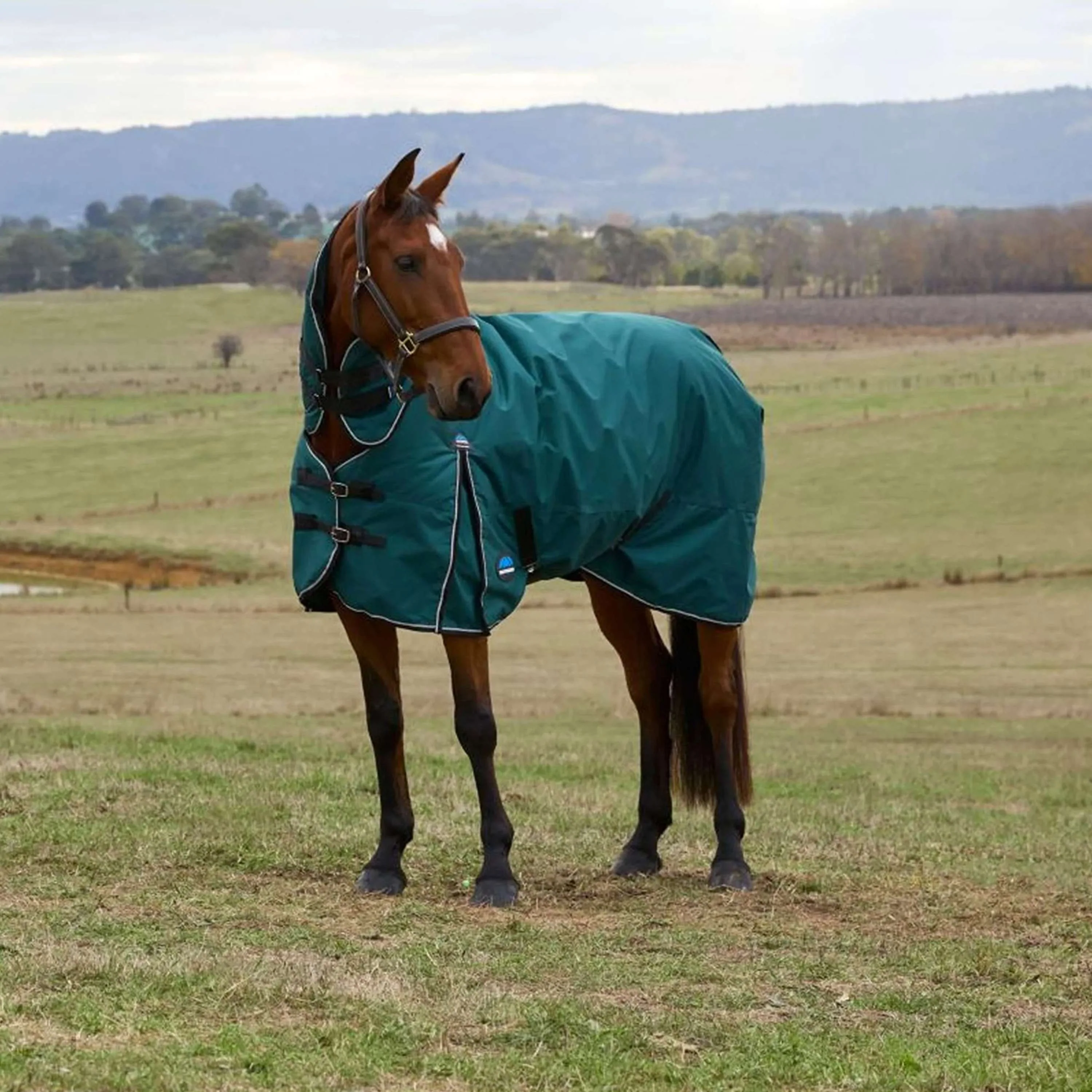 WeatherBeeta ComFiTec Classic Turnout Combo 220g Forest Green/Black - Image 2