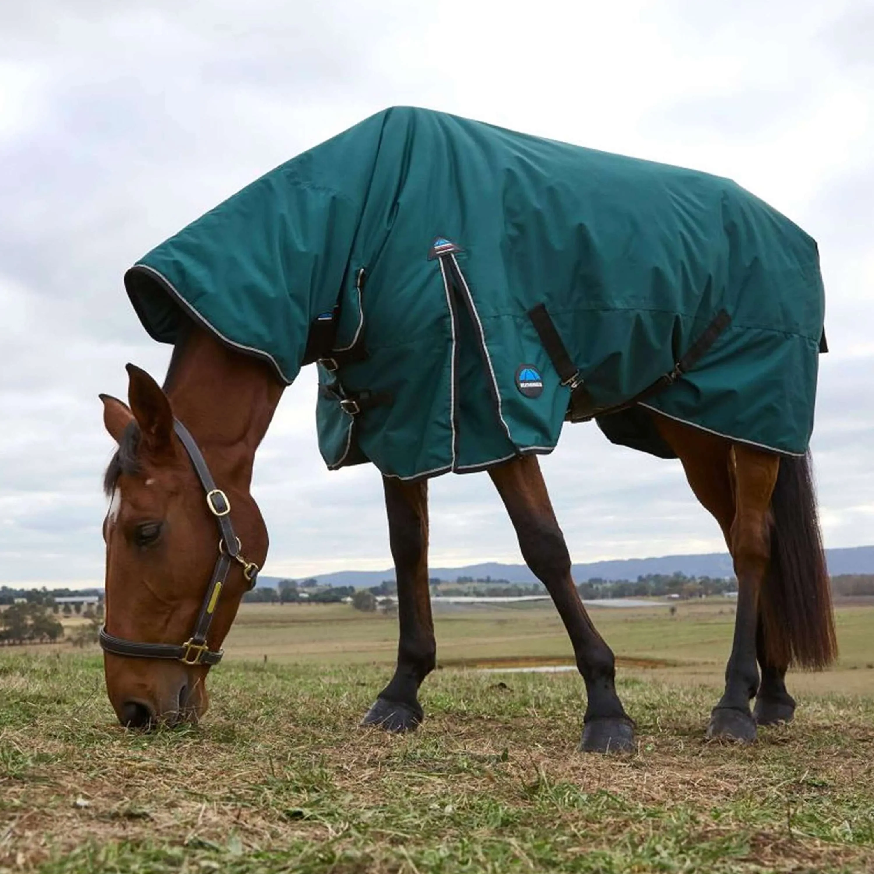 WeatherBeeta ComFiTec Classic Turnout Combo 220g Forest Green/Black - Image 3