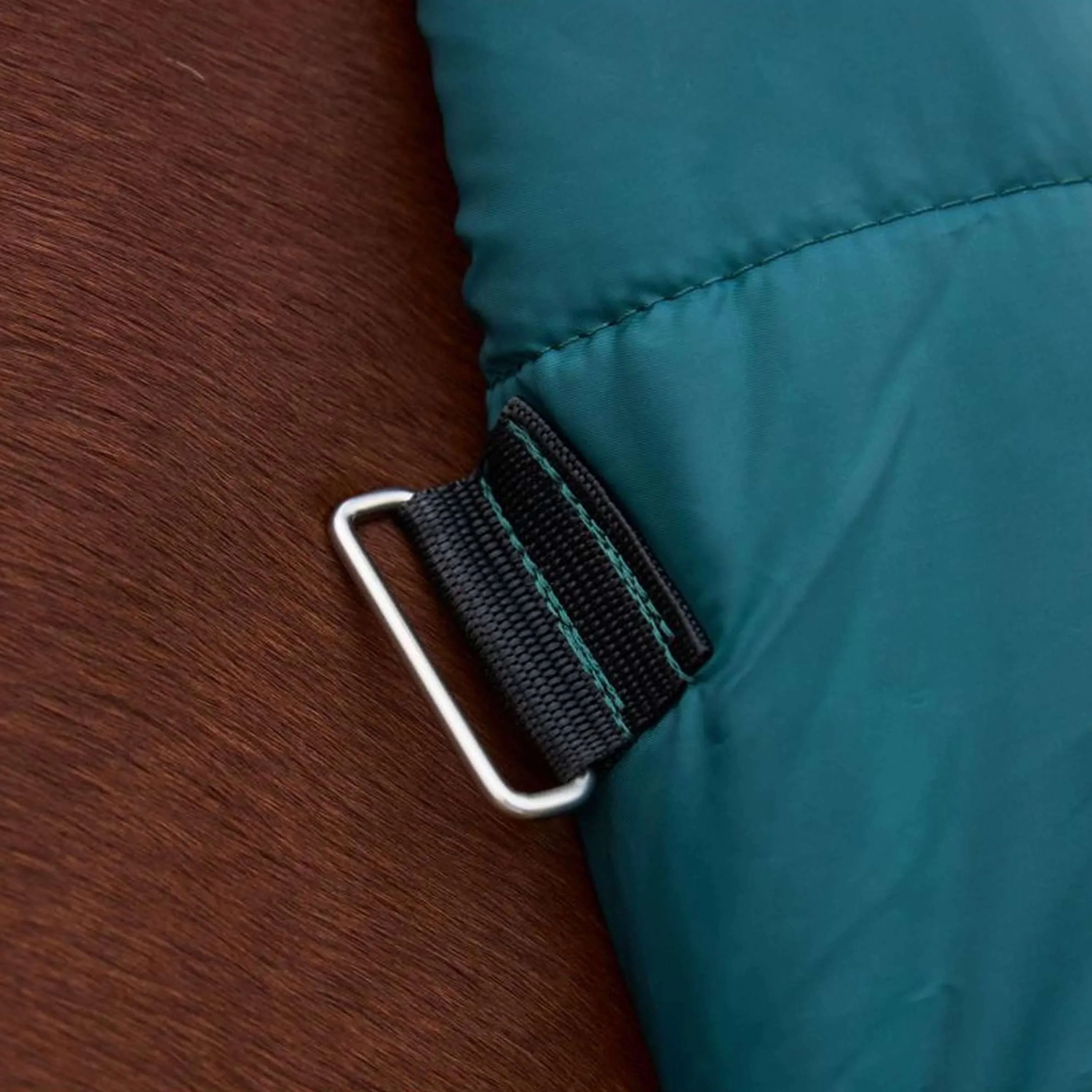 WeatherBeeta ComFiTec Classic Turnout Combo 220g Forest Green/Black - Image 6