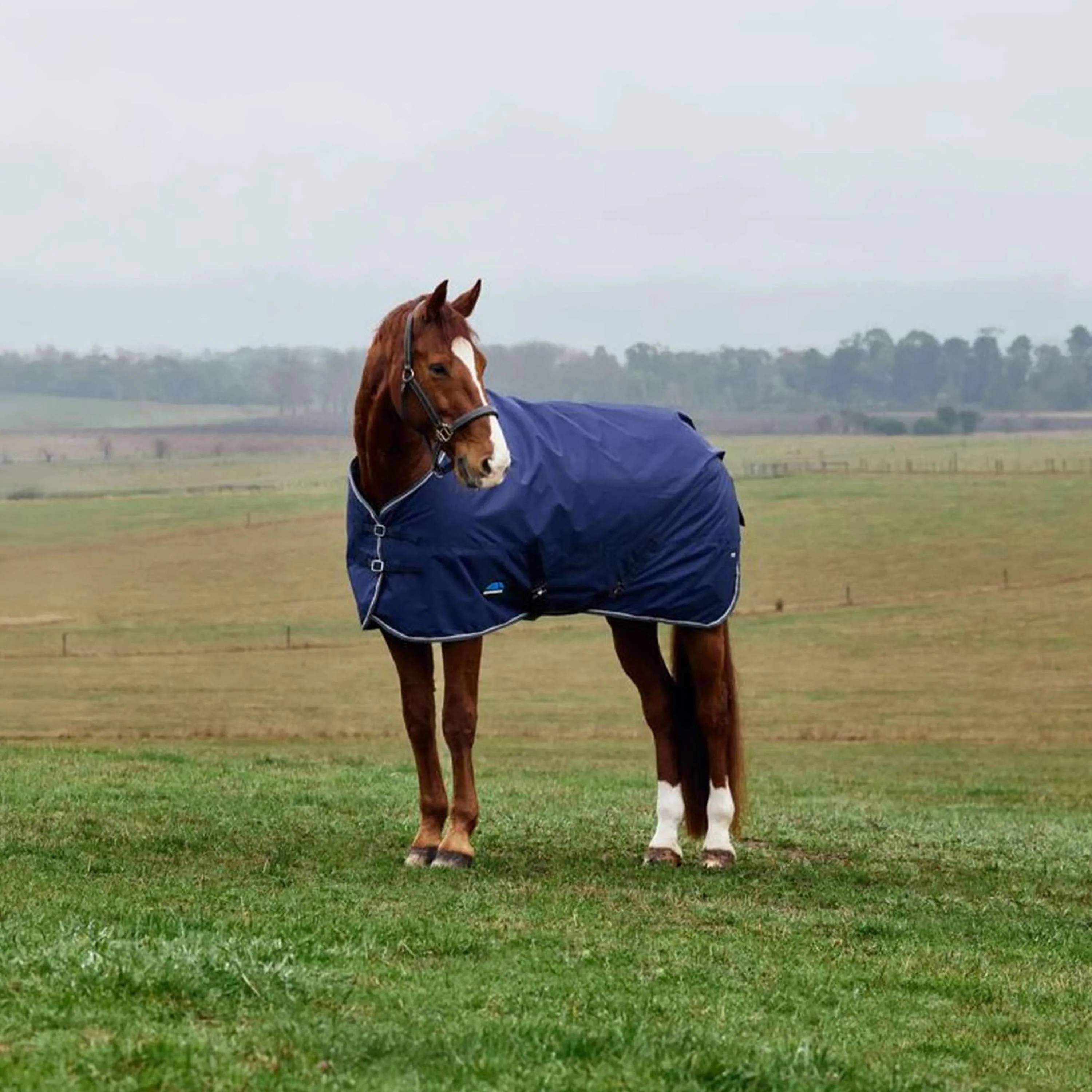 WeatherBeeta ComFiTec Tyro Turnout Standard Neck 50g Navy/Kohle - Image 3