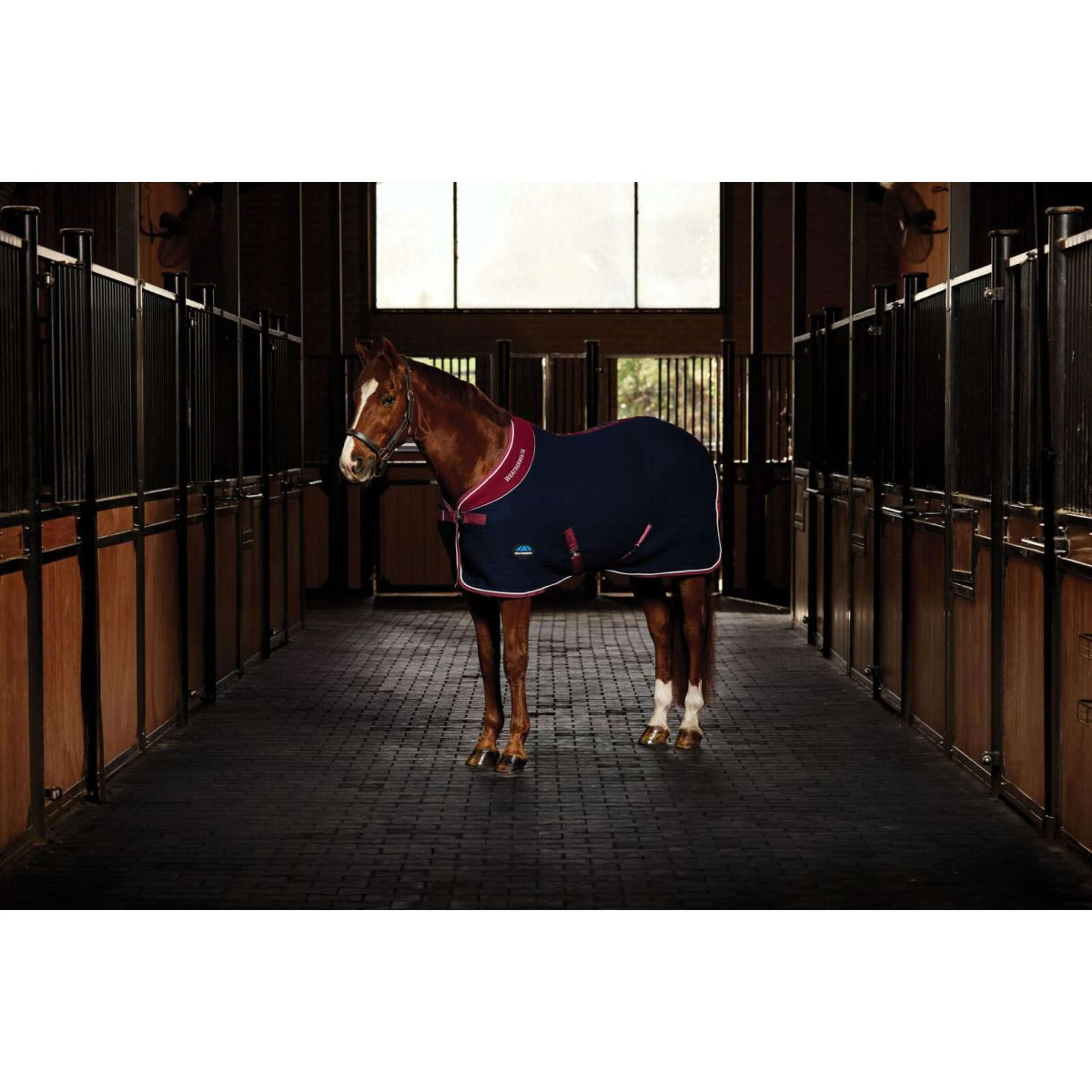 WeatherBeeta Cooler Thermocell Standard Neck Navy/Burgundy