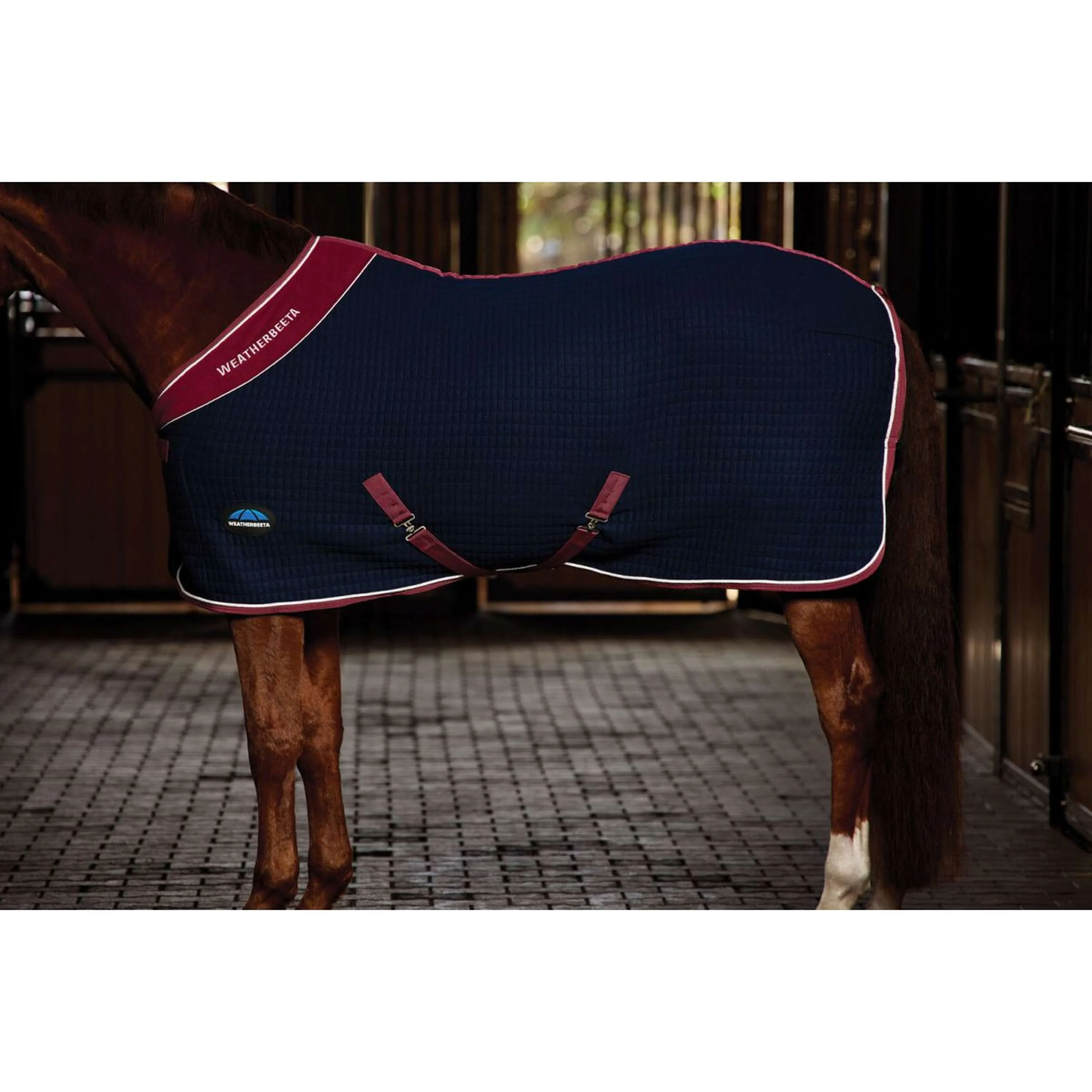 WeatherBeeta Cooler Thermocell Standard Neck Navy/Burgundy - Image 3